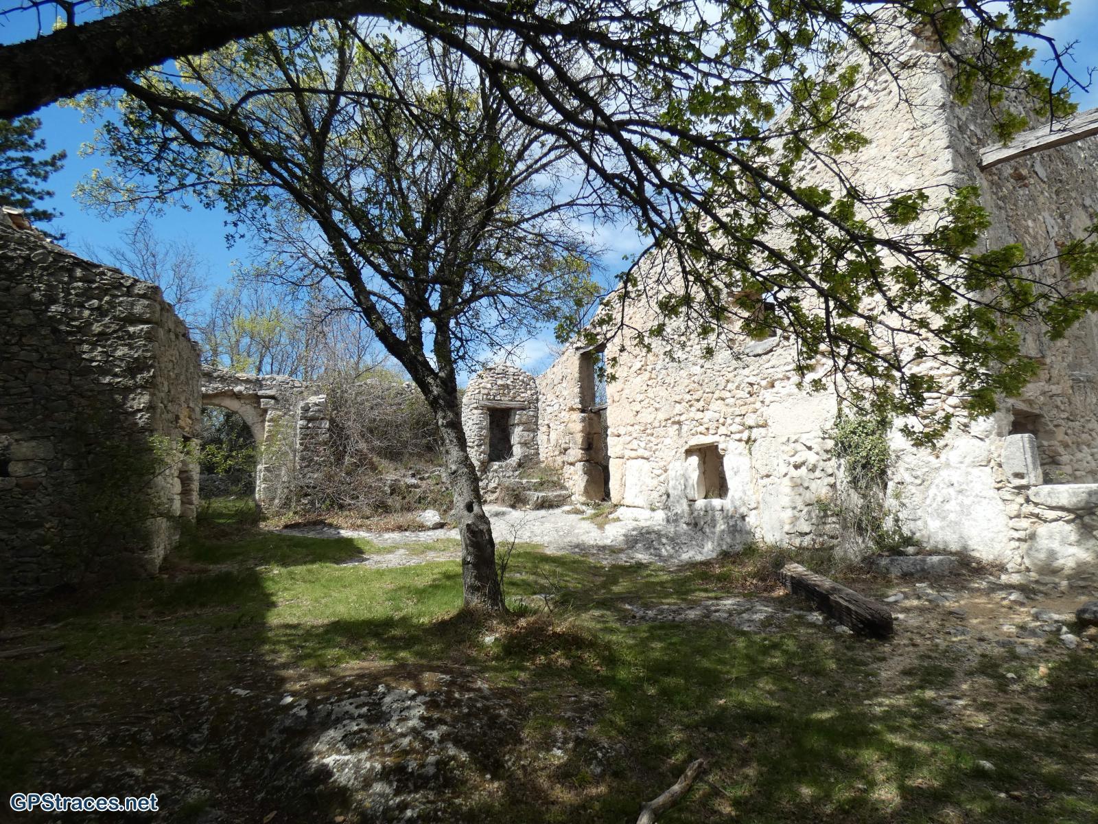 Lausemolan