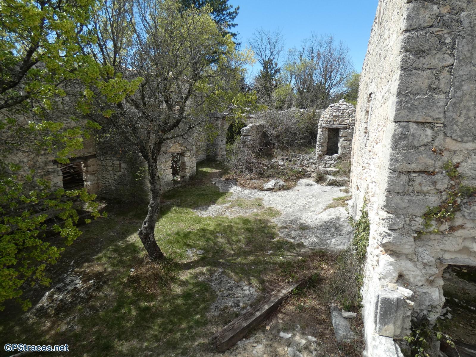 Lausemolan