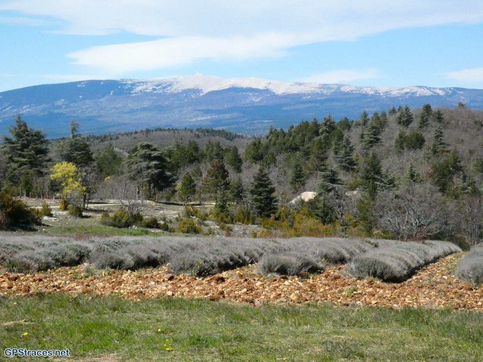 Le Mont Ventoux