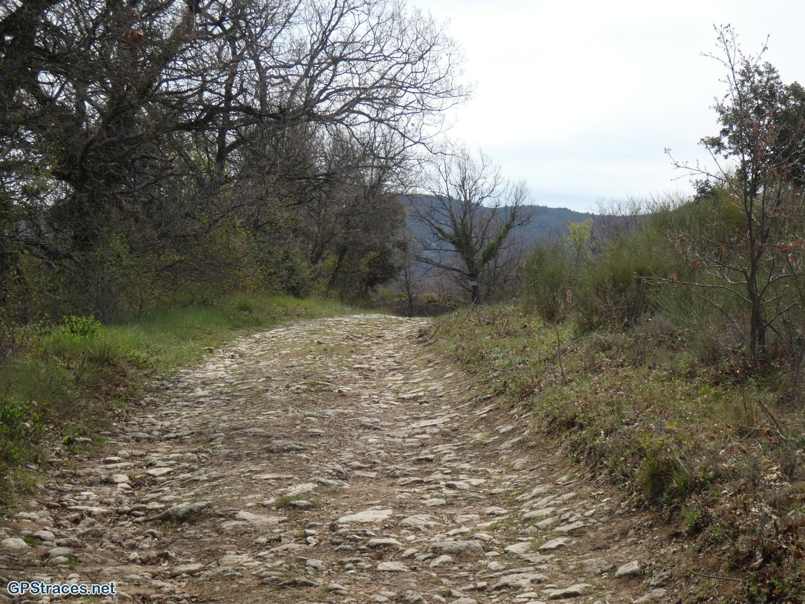 Vaucluse-Saignon - Le plateau des Claparèdes–2