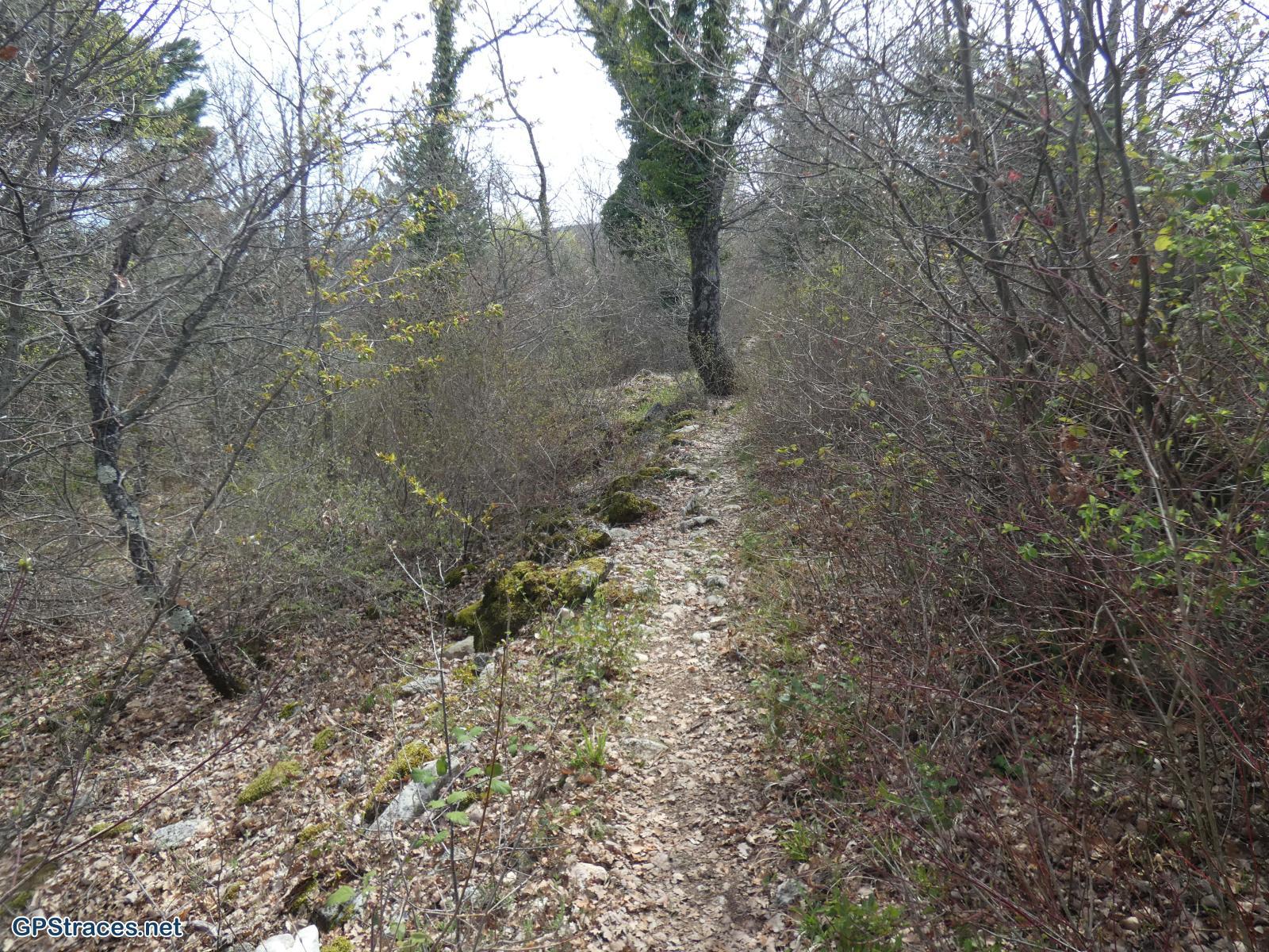 Vaucluse-Saignon - Le plateau des Claparèdes–3