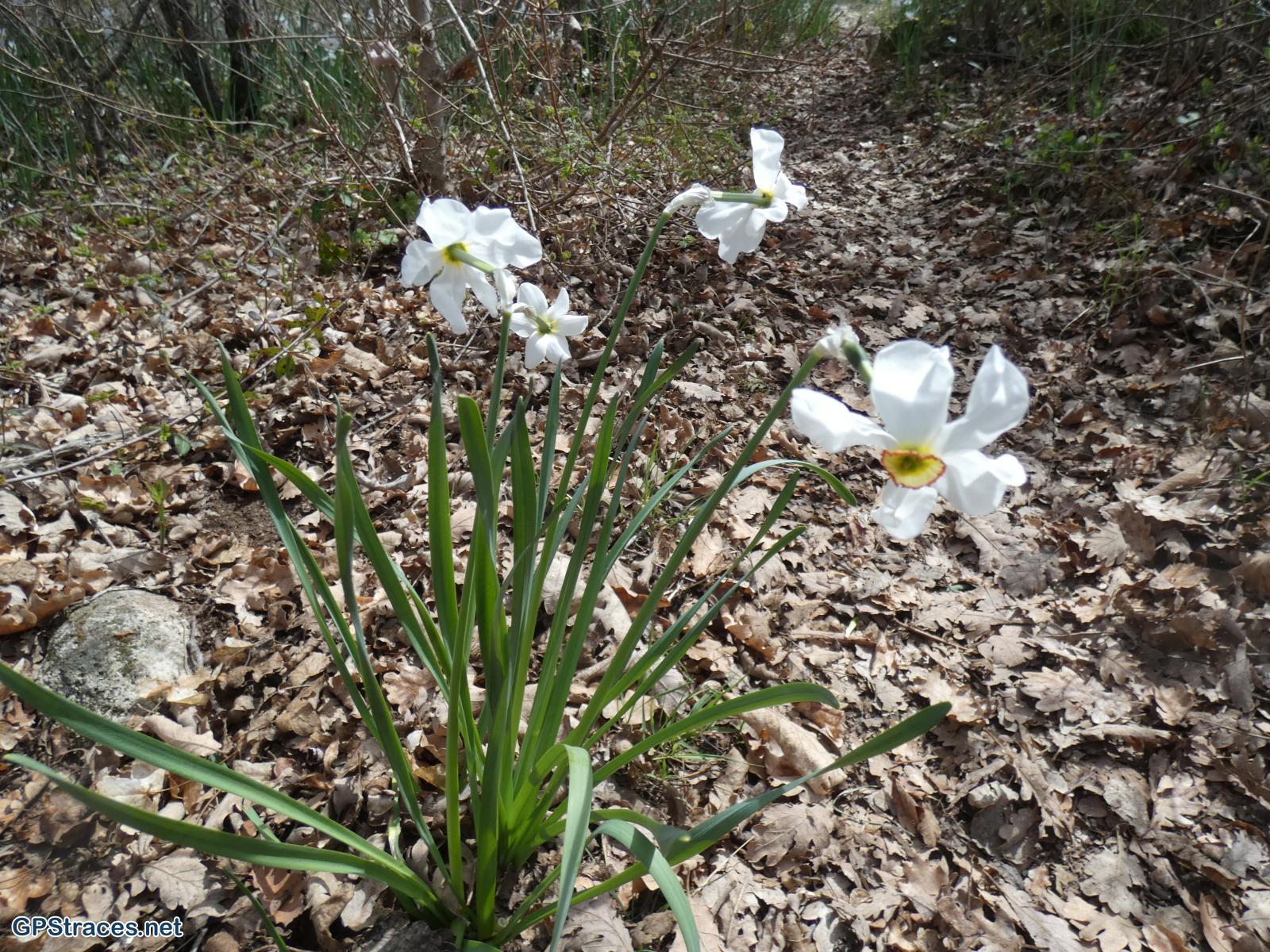 Vaucluse-Saignon - Le plateau des Claparèdes–5