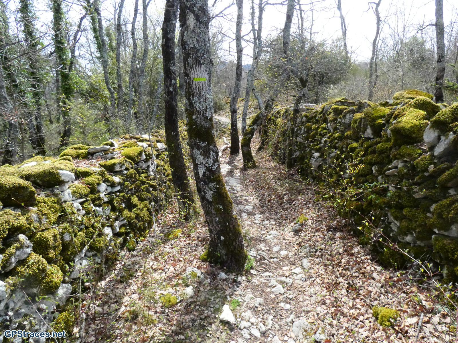 Vaucluse-Saignon - Le plateau des Claparèdes–6