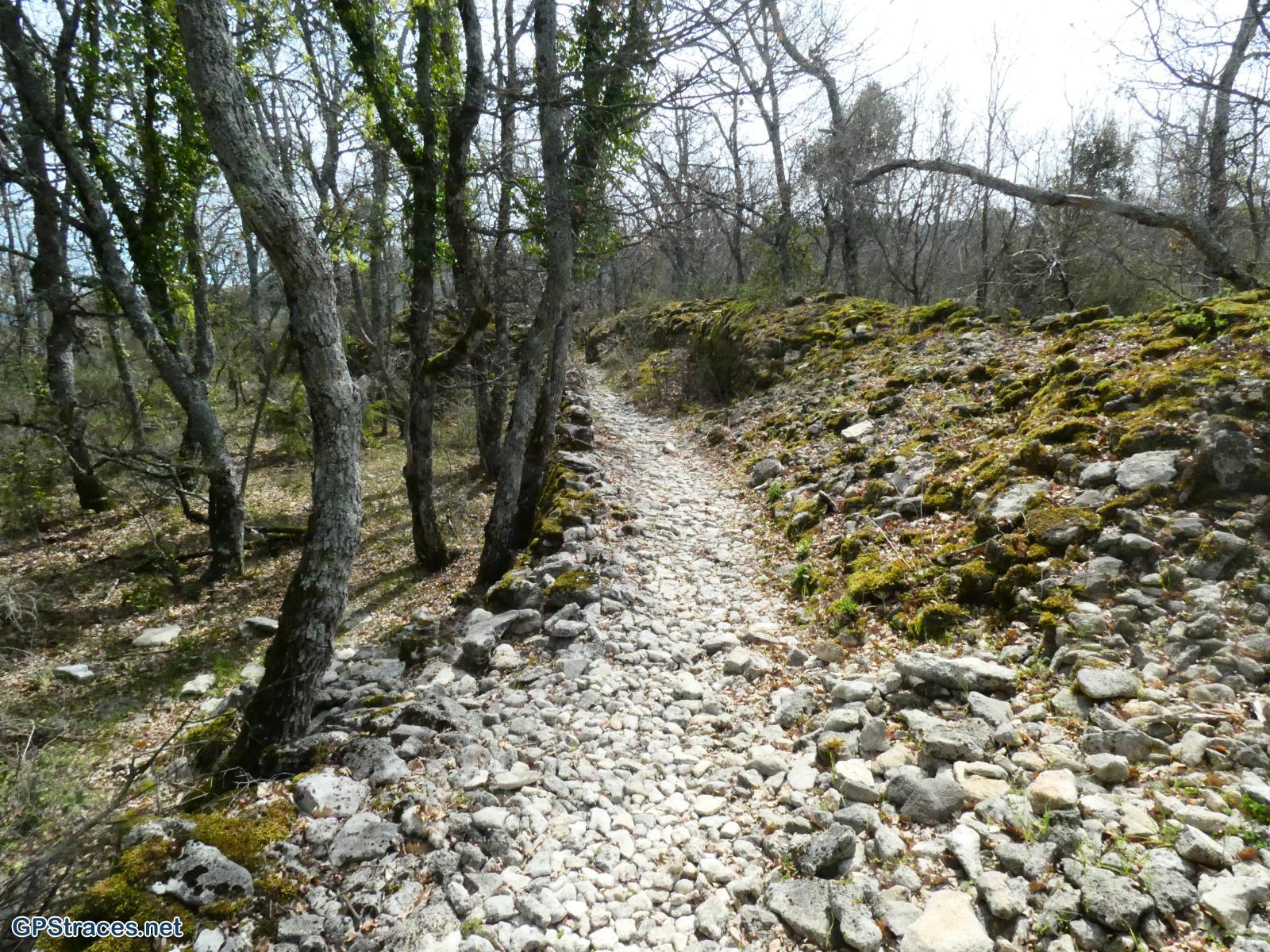 Vaucluse-Saignon - Le plateau des Claparèdes–7