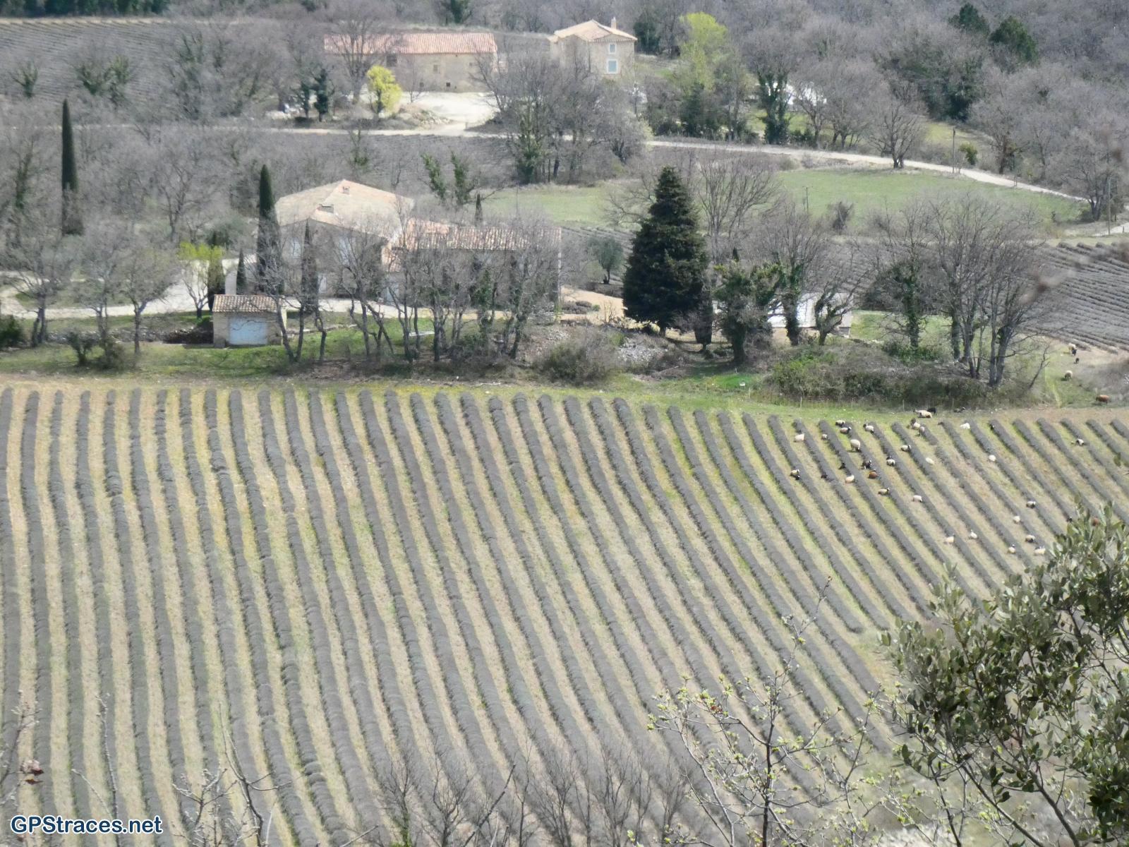 Vaucluse-Saignon - Le plateau des Claparèdes–9