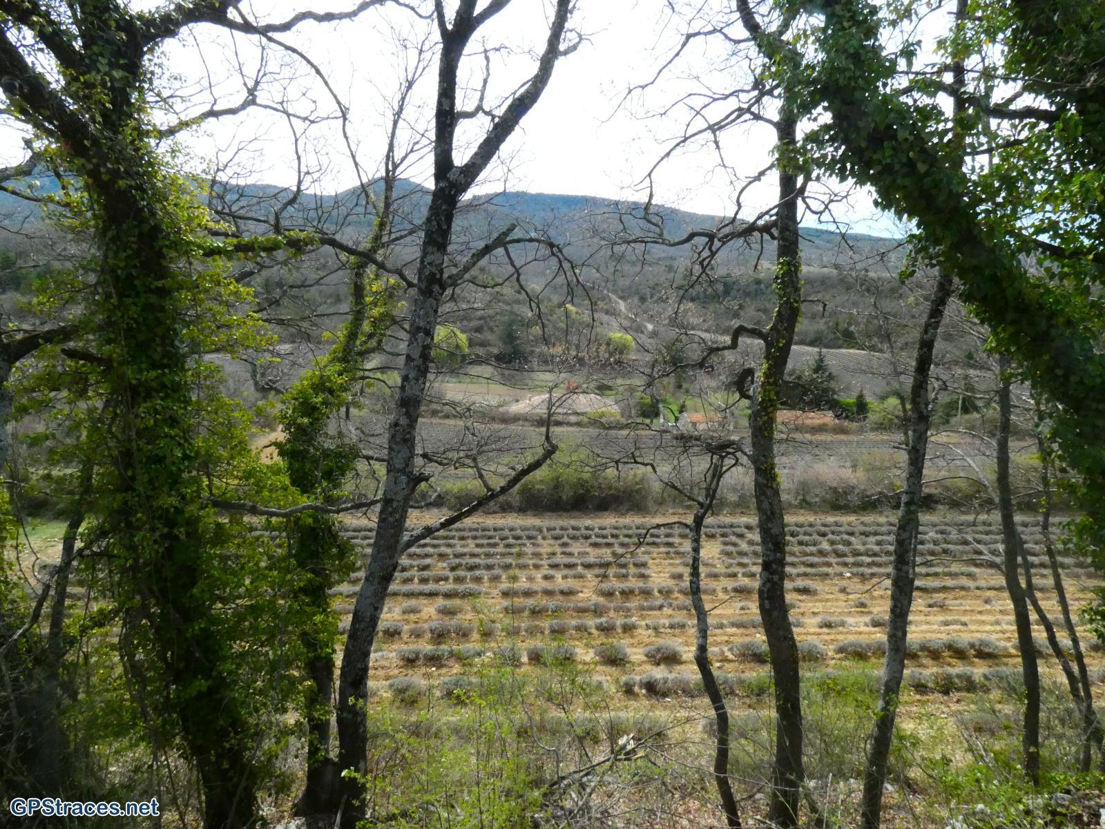 Vaucluse-Saignon - Le plateau des Claparèdes–10