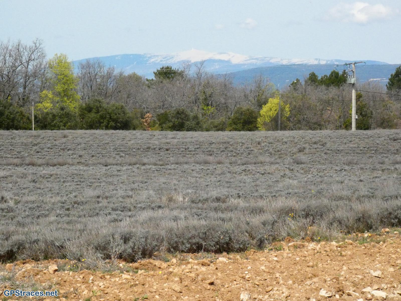 Le Mont Ventoux