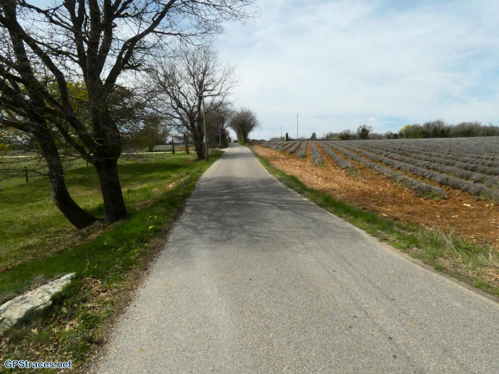 Le plateau des Claparèdes
