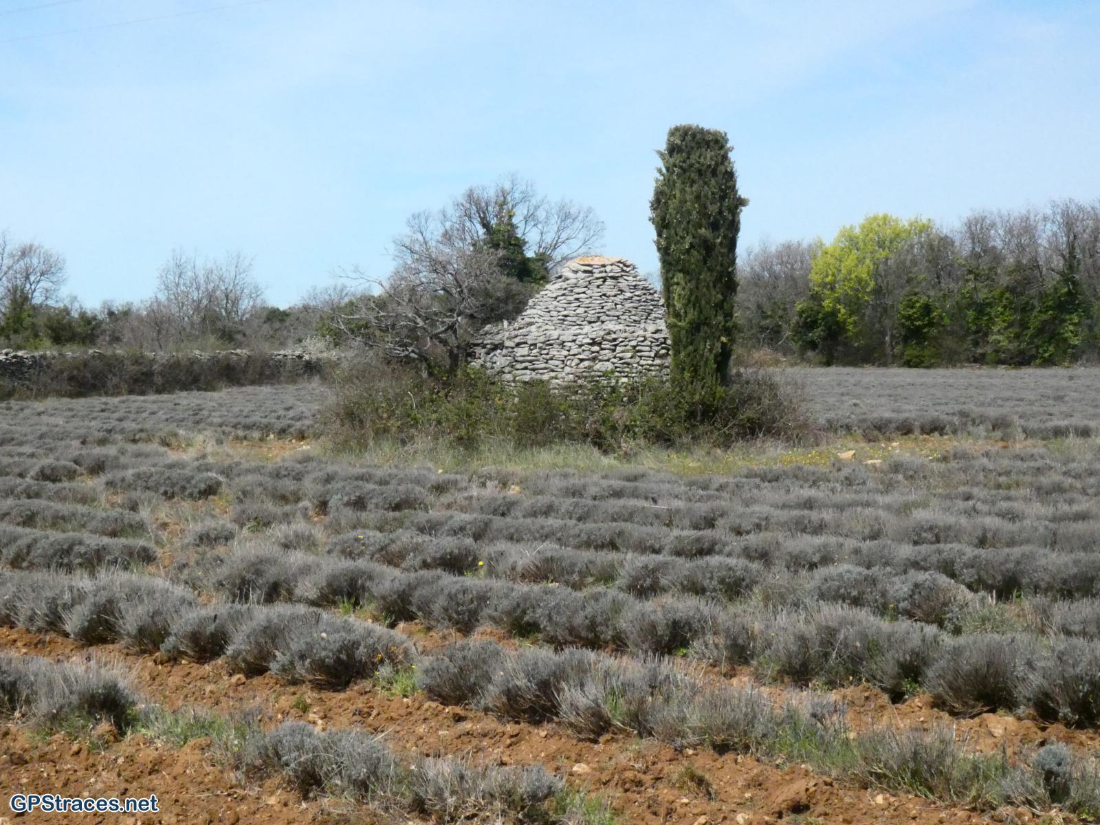 Le plateau des Claparèdes