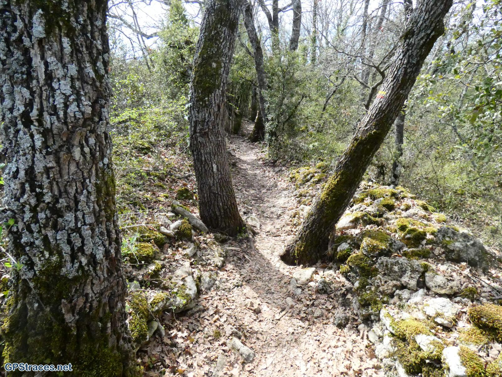 Vaucluse-Saignon - Le plateau des Claparèdes–20