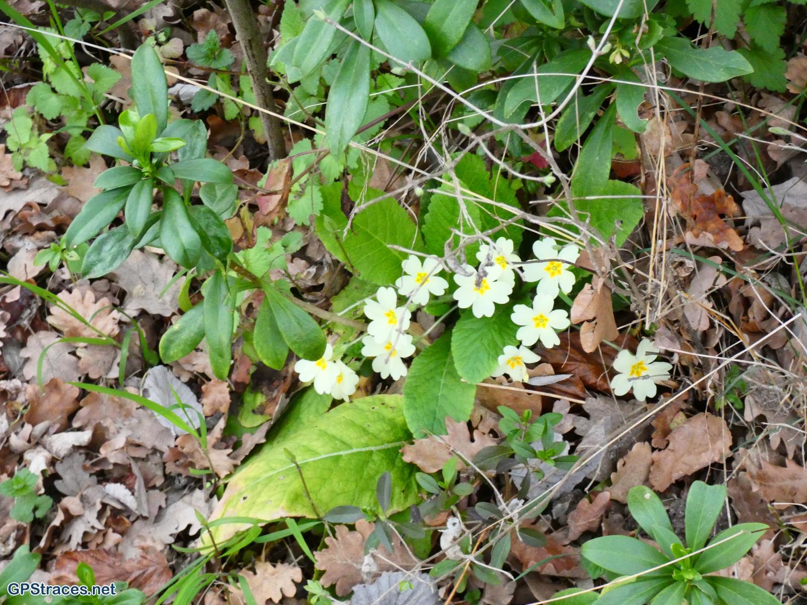 Vaucluse-Saignon - Le plateau des Claparèdes–26