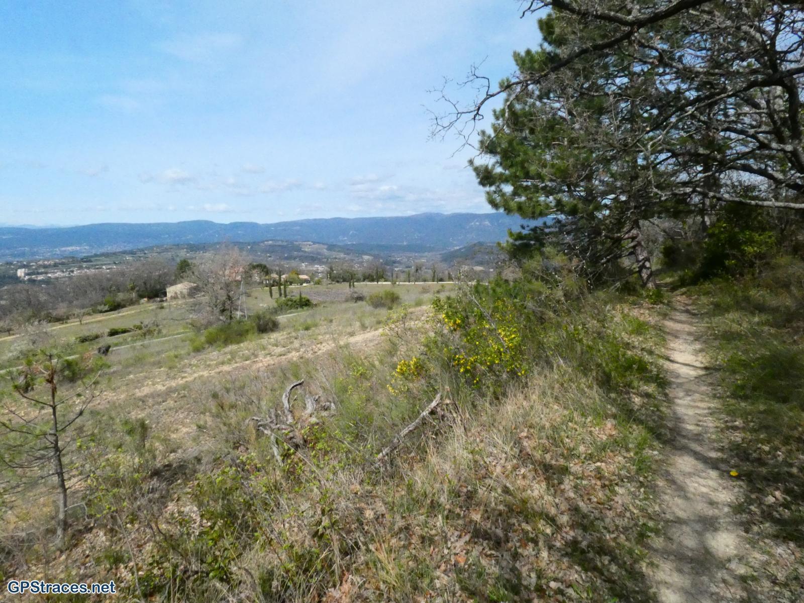 Vaucluse-Saignon - Le plateau des Claparèdes–33