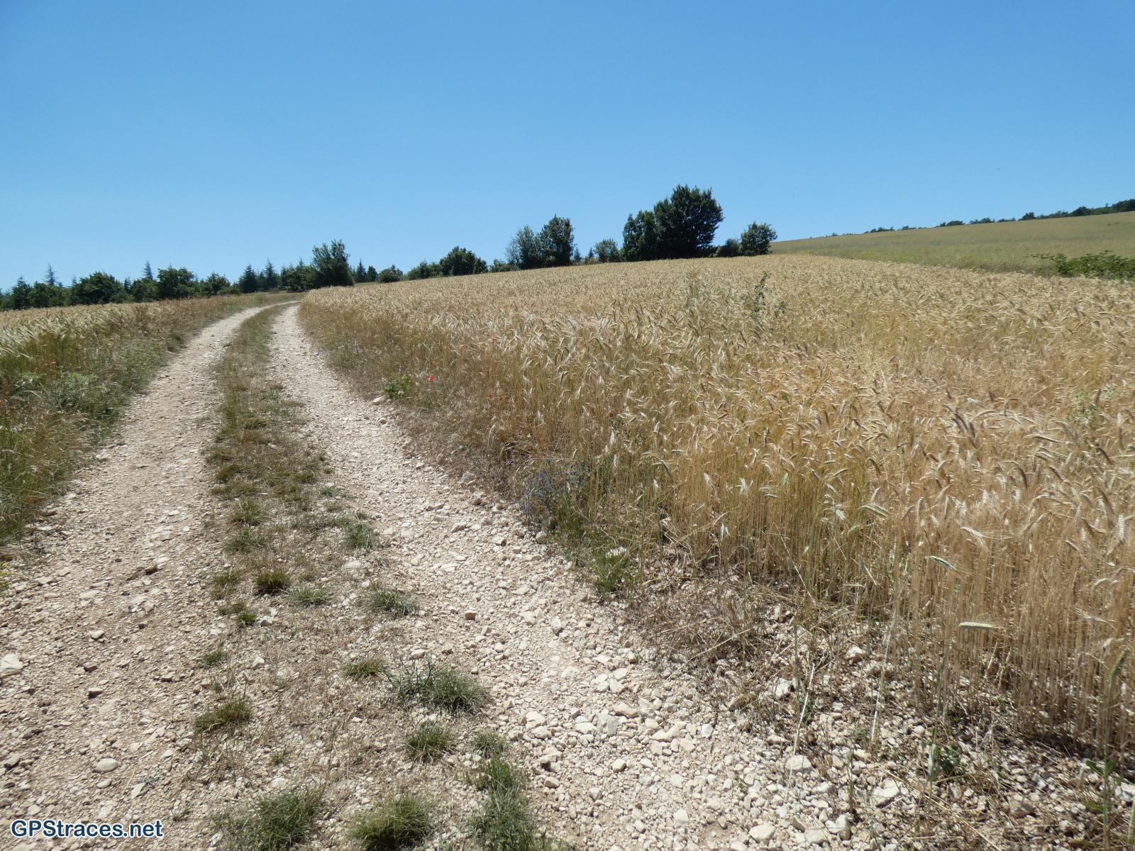 Vaucluse-Saint-Christol d'Albion - Chapelle N-D de Lamaron–5
