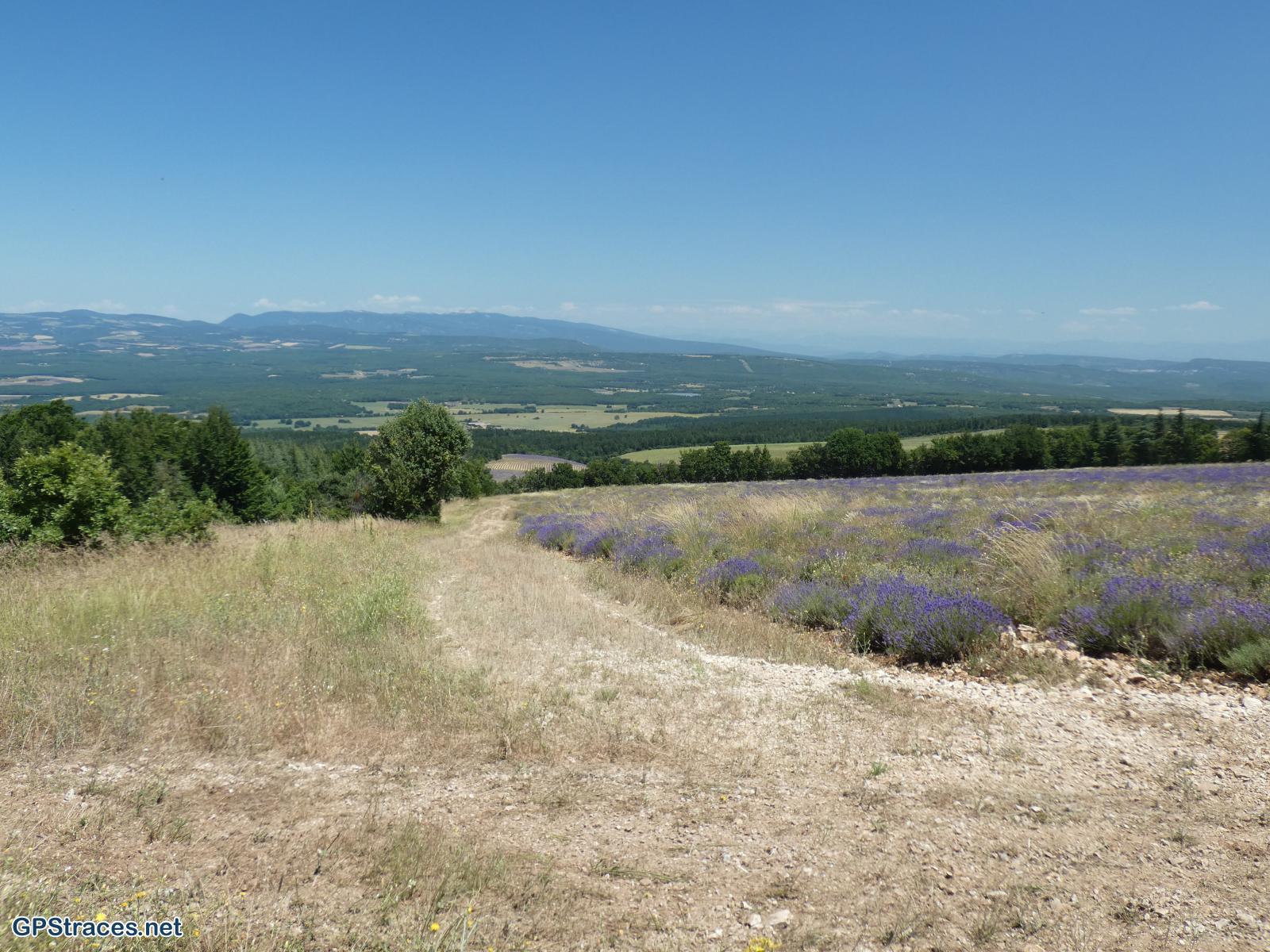 Vaucluse-Saint-Christol d'Albion - Chapelle N-D de Lamaron–7