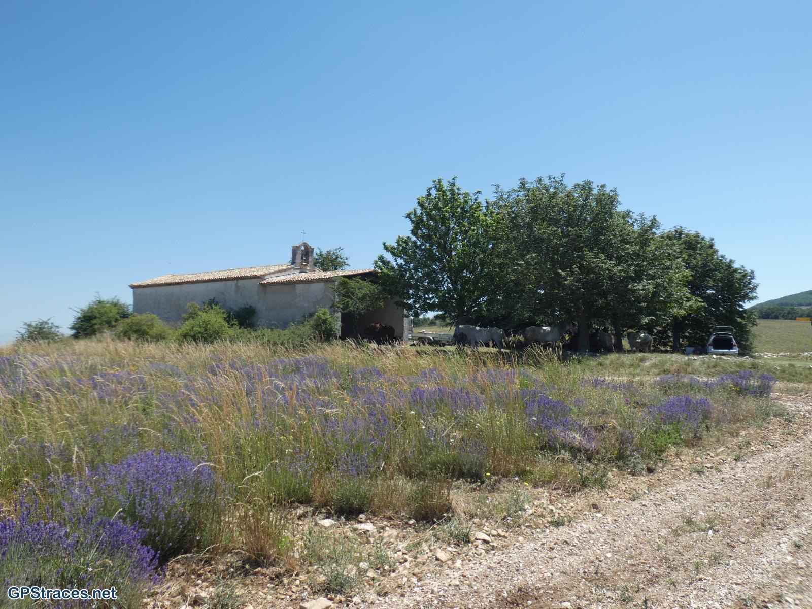 Vaucluse-Saint-Christol d'Albion - Chapelle N-D de Lamaron–8