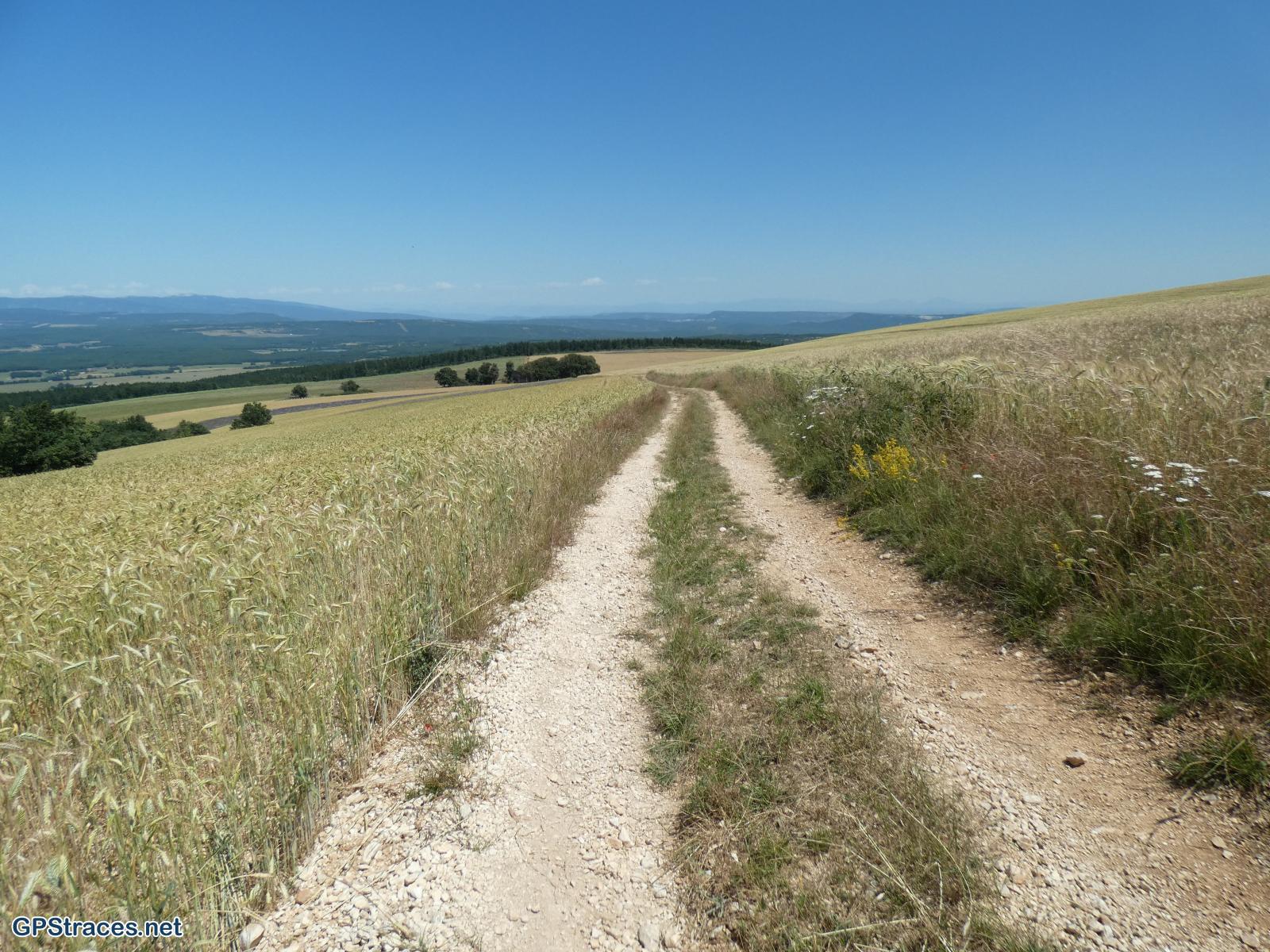 Vaucluse-Saint-Christol d'Albion - Chapelle N-D de Lamaron–10