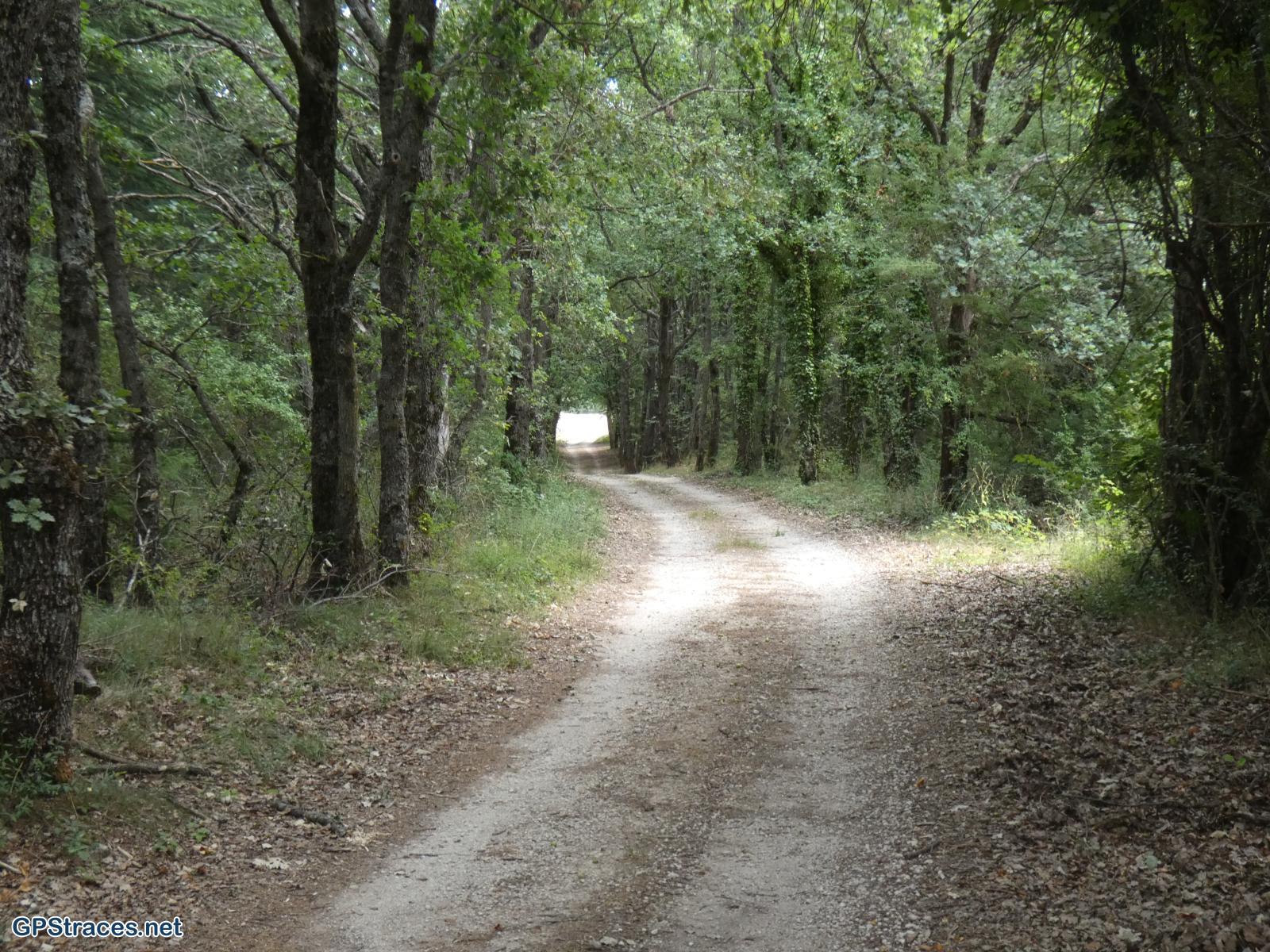 Vaucluse-Saint-Christol d'Albion - Le Grand Bois–3