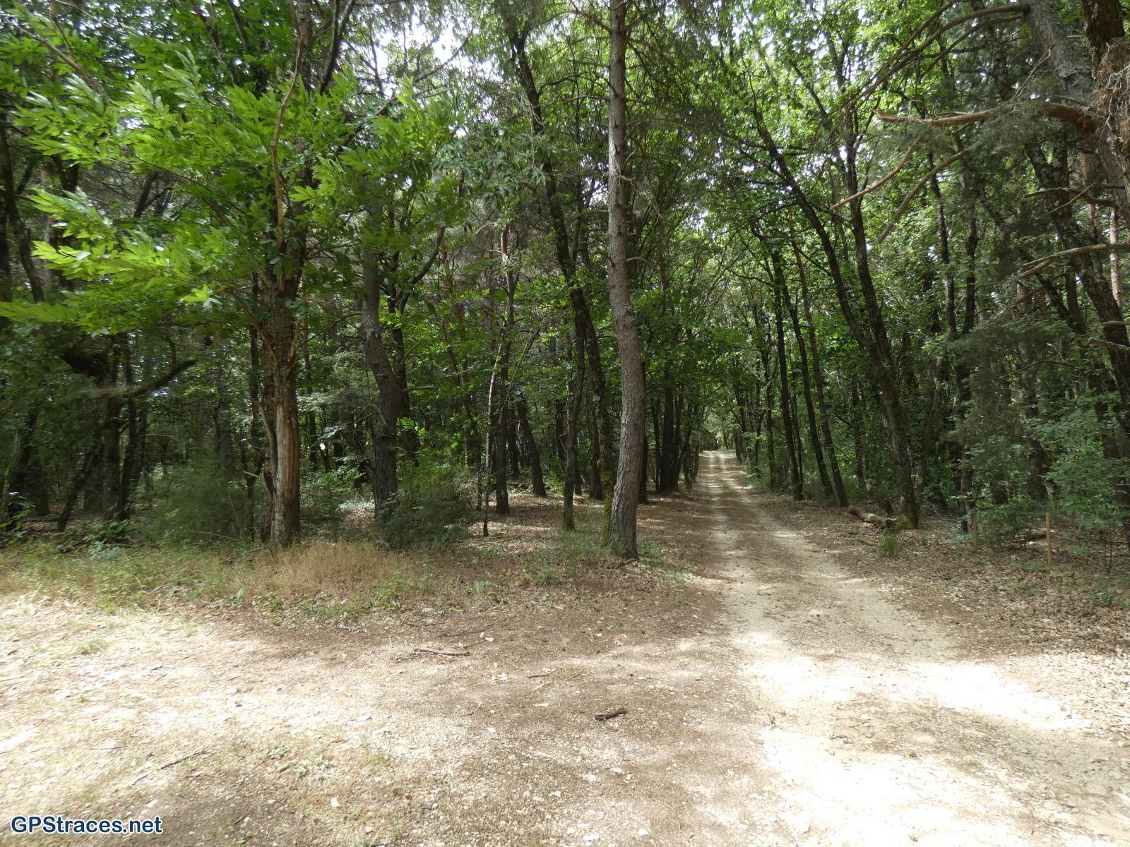 Vaucluse-Saint-Christol d'Albion - Le Grand Bois–4