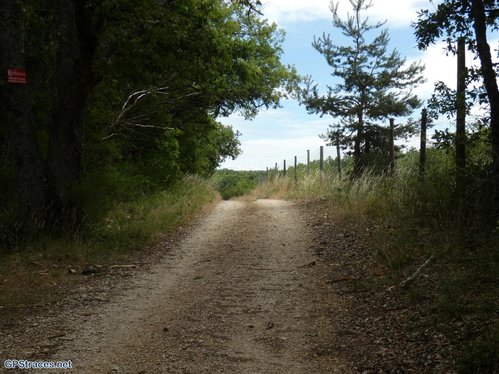 Vaucluse-Saint-Christol d'Albion - Le Grand Bois–5