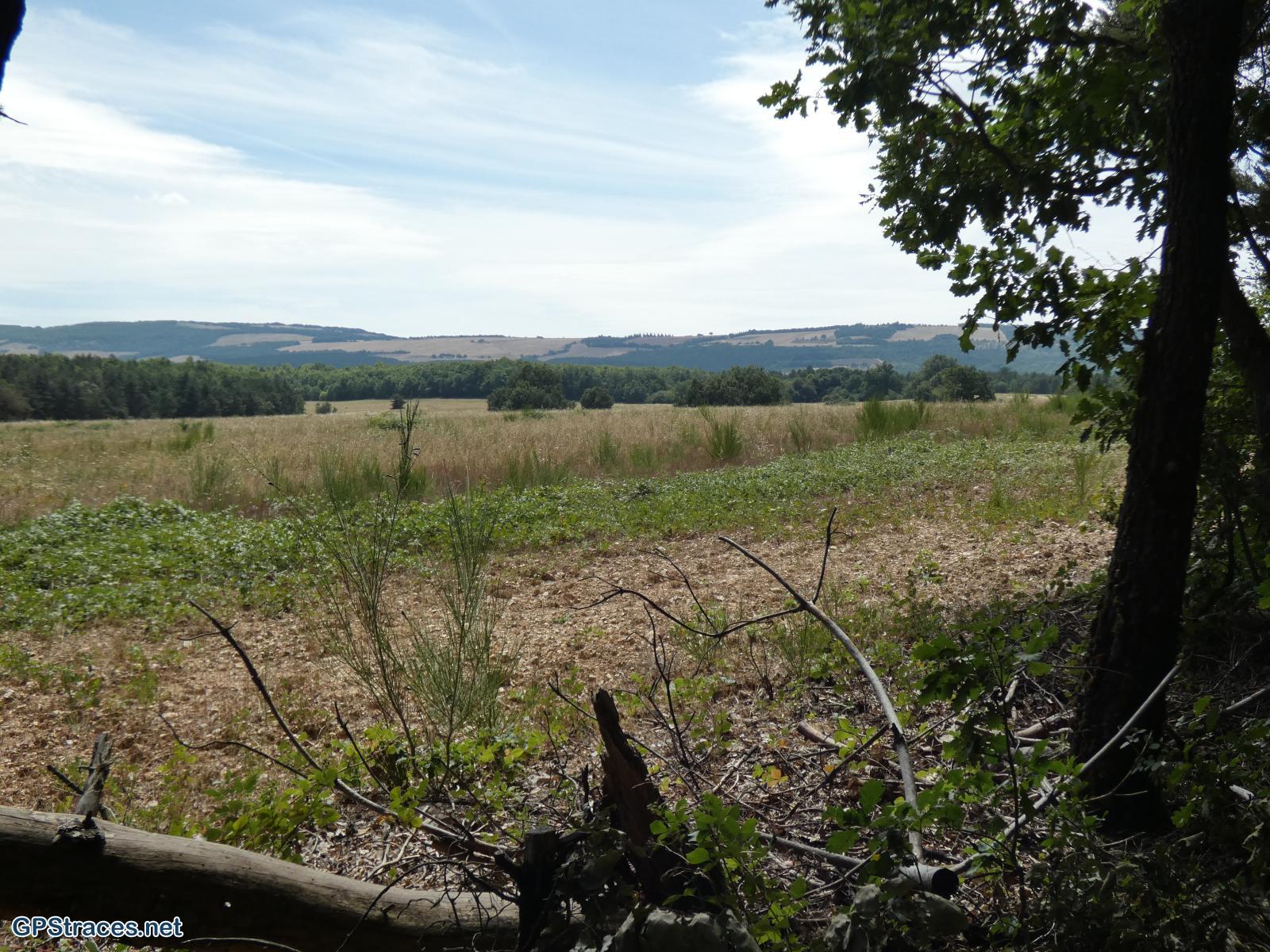 Vaucluse-Saint-Christol d'Albion - Le Grand Bois–13