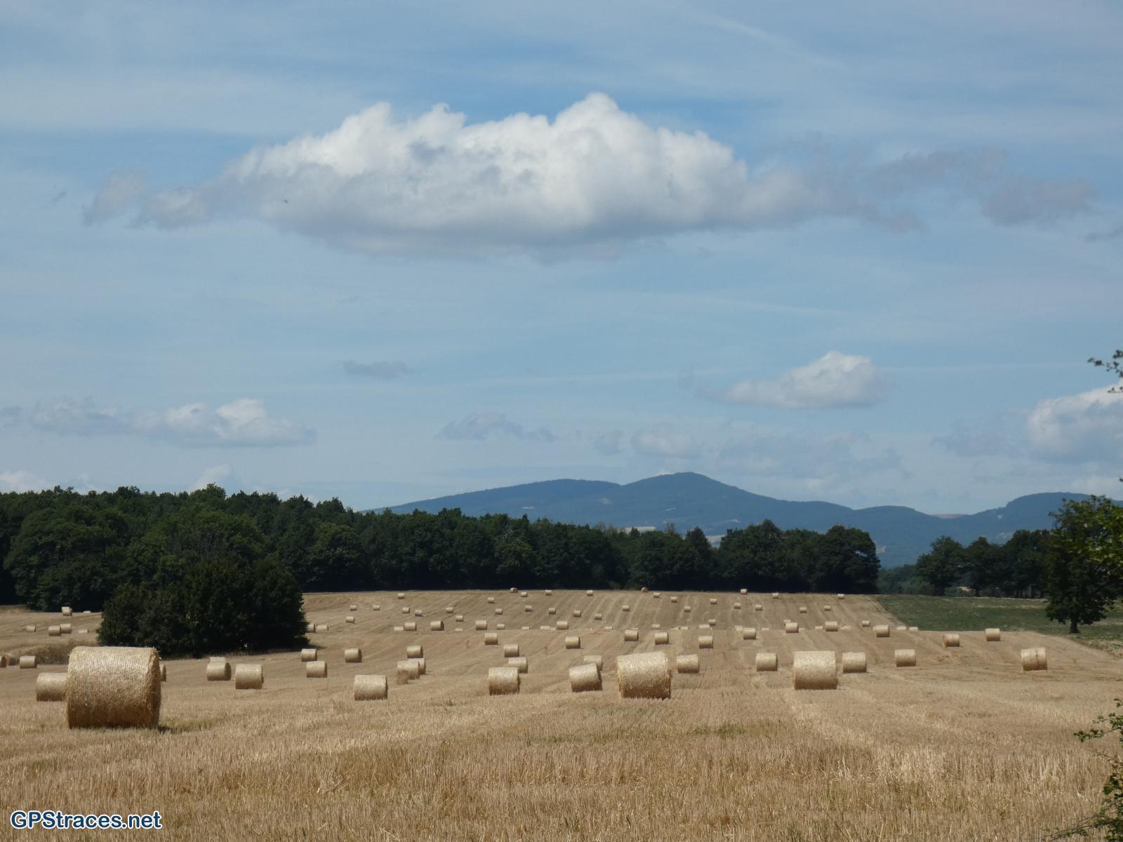 Vaucluse-Saint-Christol d'Albion - Le Grand Bois–14