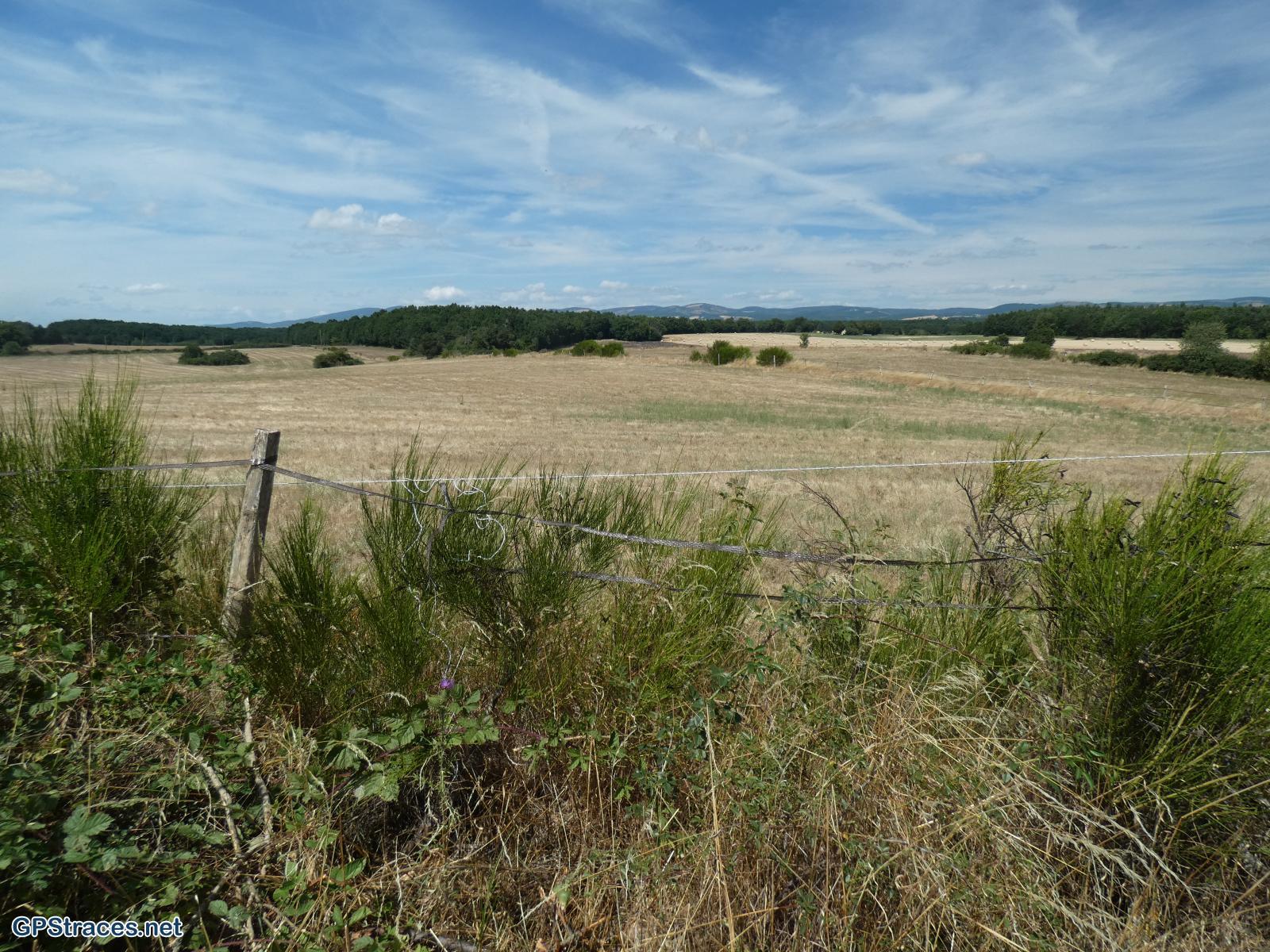 Vaucluse-Saint-Christol d'Albion - Le Grand Bois–15