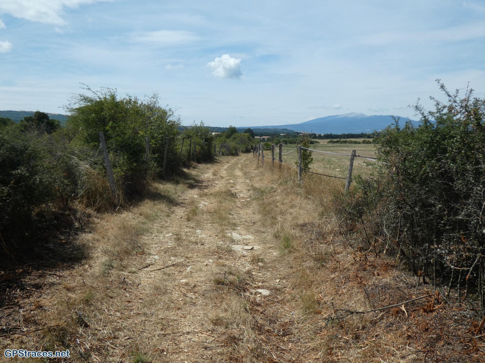 Vaucluse-Saint-Christol d'Albion - Le Grand Bois–16