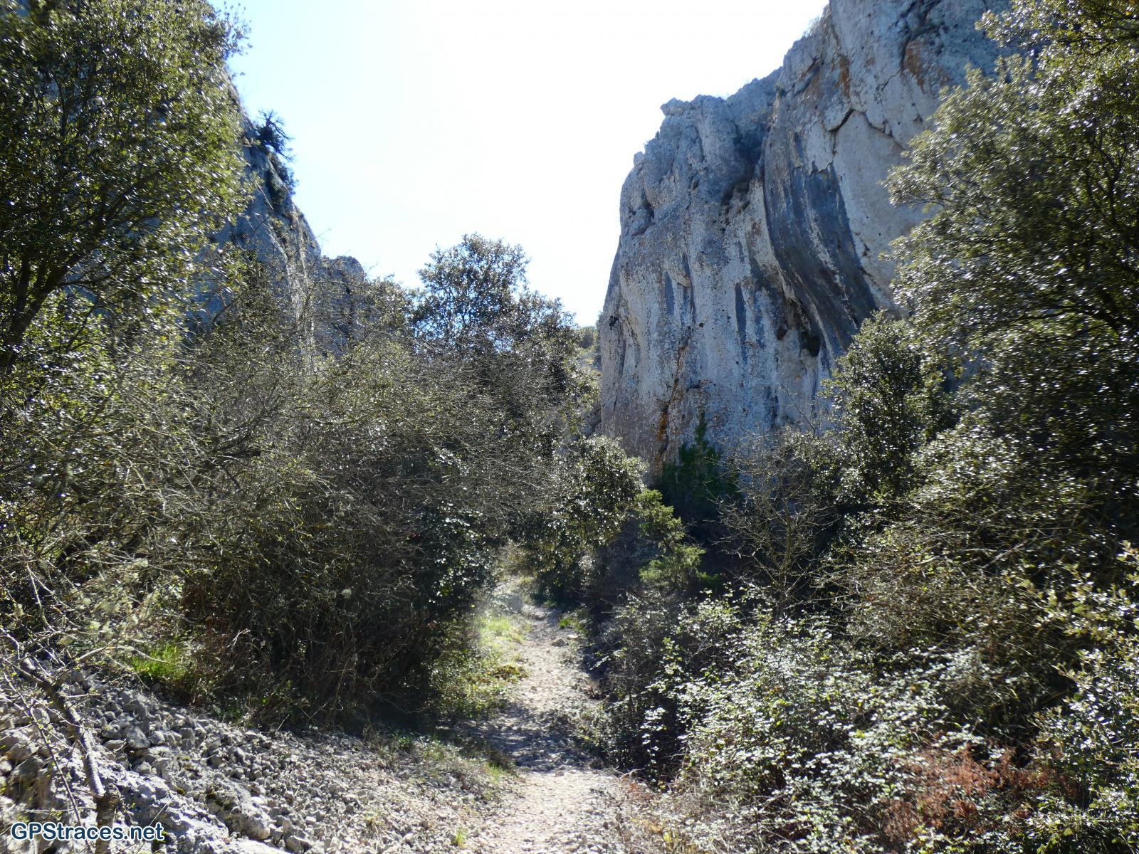 Dans la combe