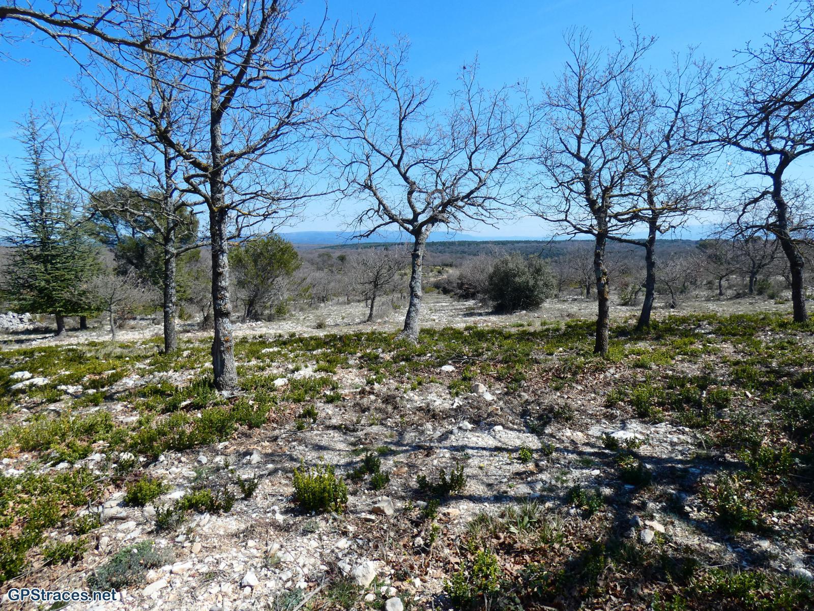 Sur le plateau de Vaucluse