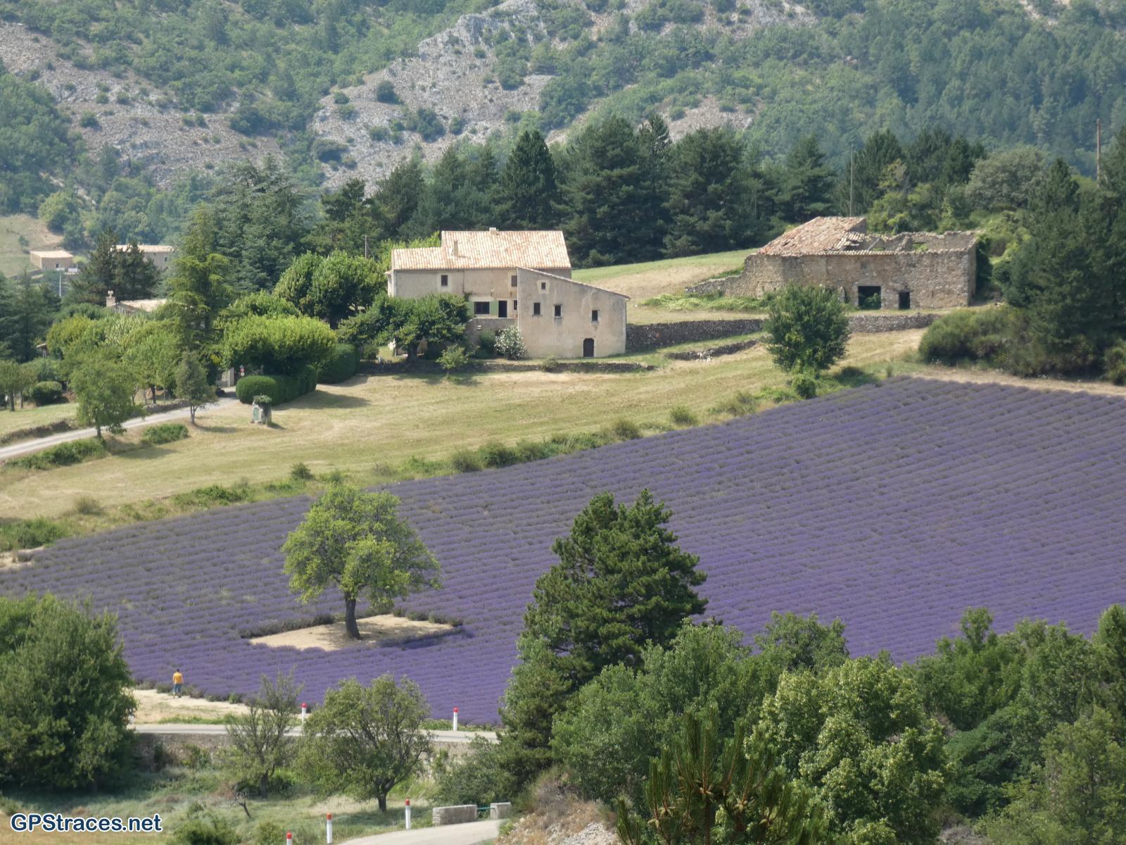 Vaucluse-Sault - Aurel–1
