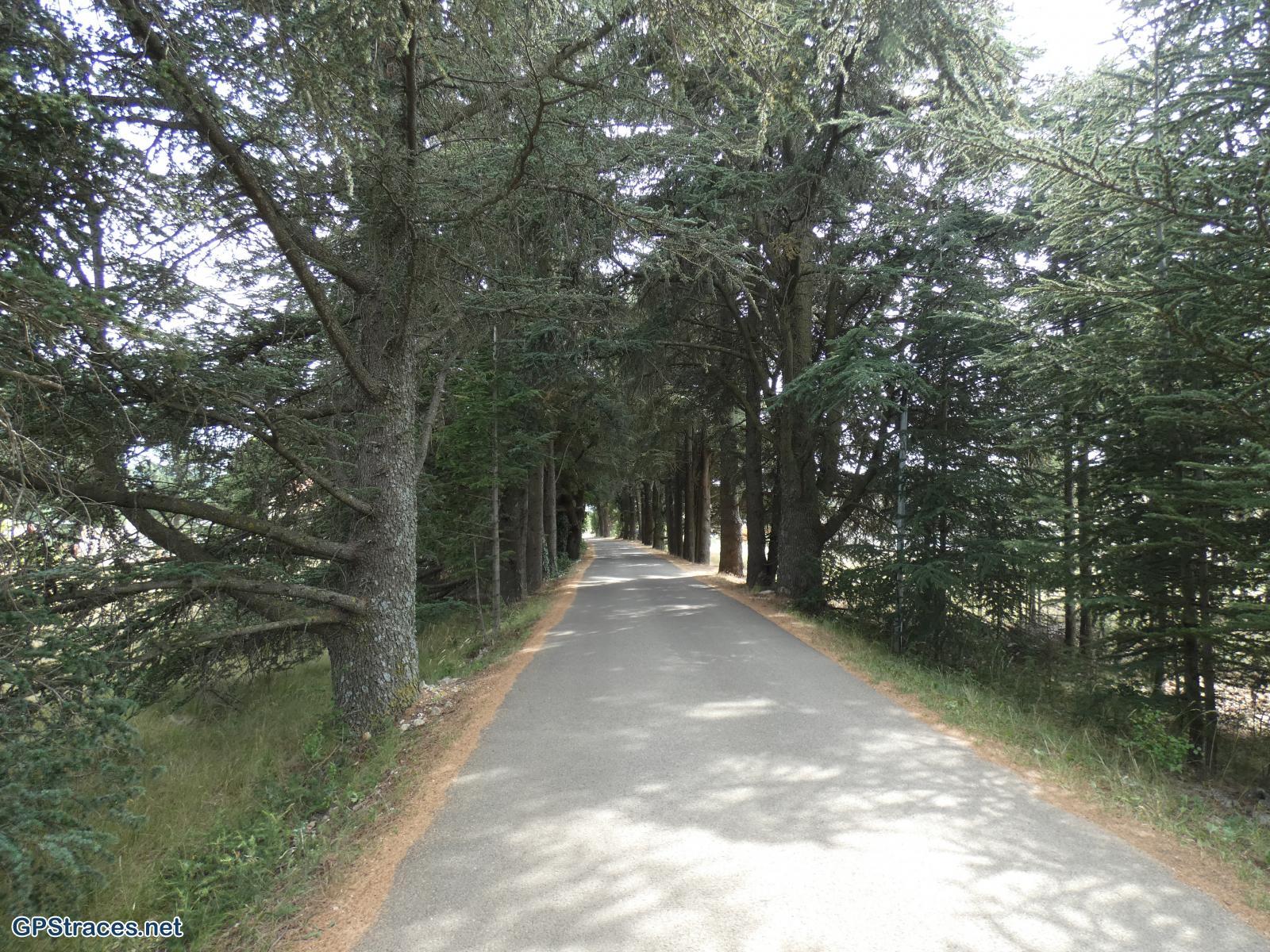 Vaucluse-Sault - Aurel–7