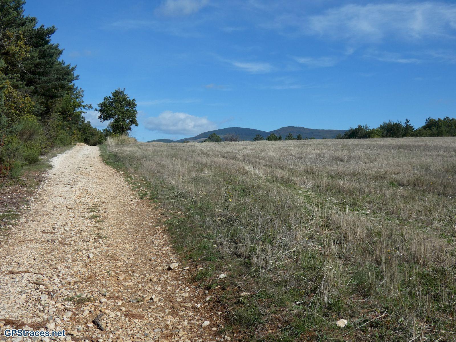 Vaucluse-Sault - Aurel - Saint Trinit–1
