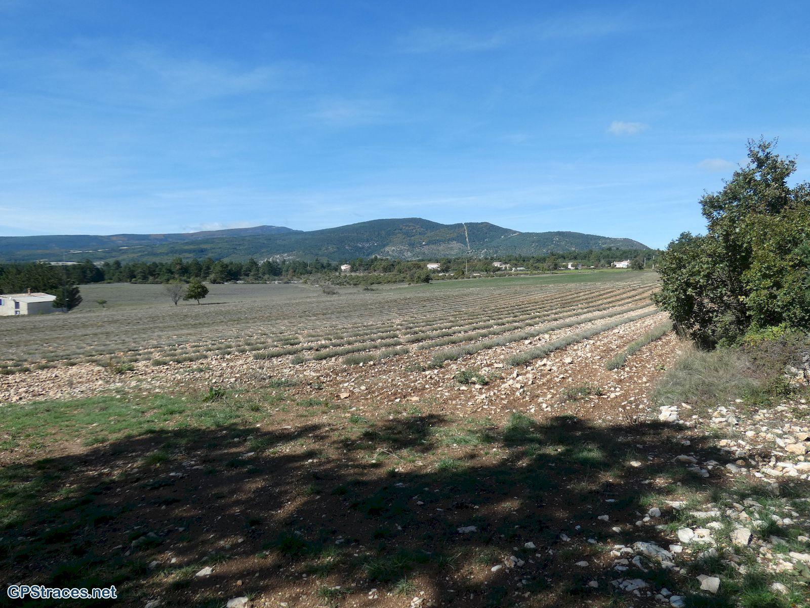 Vaucluse-Sault - Aurel - Saint Trinit–10