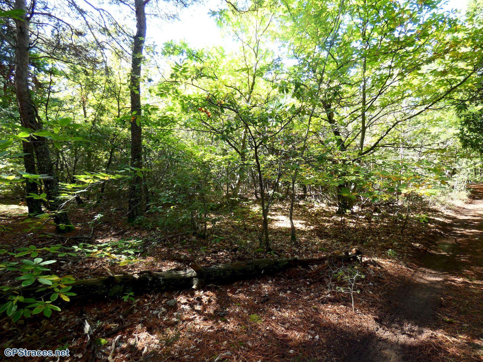 Vaucluse-Sault - Aurel - Saint Trinit–12