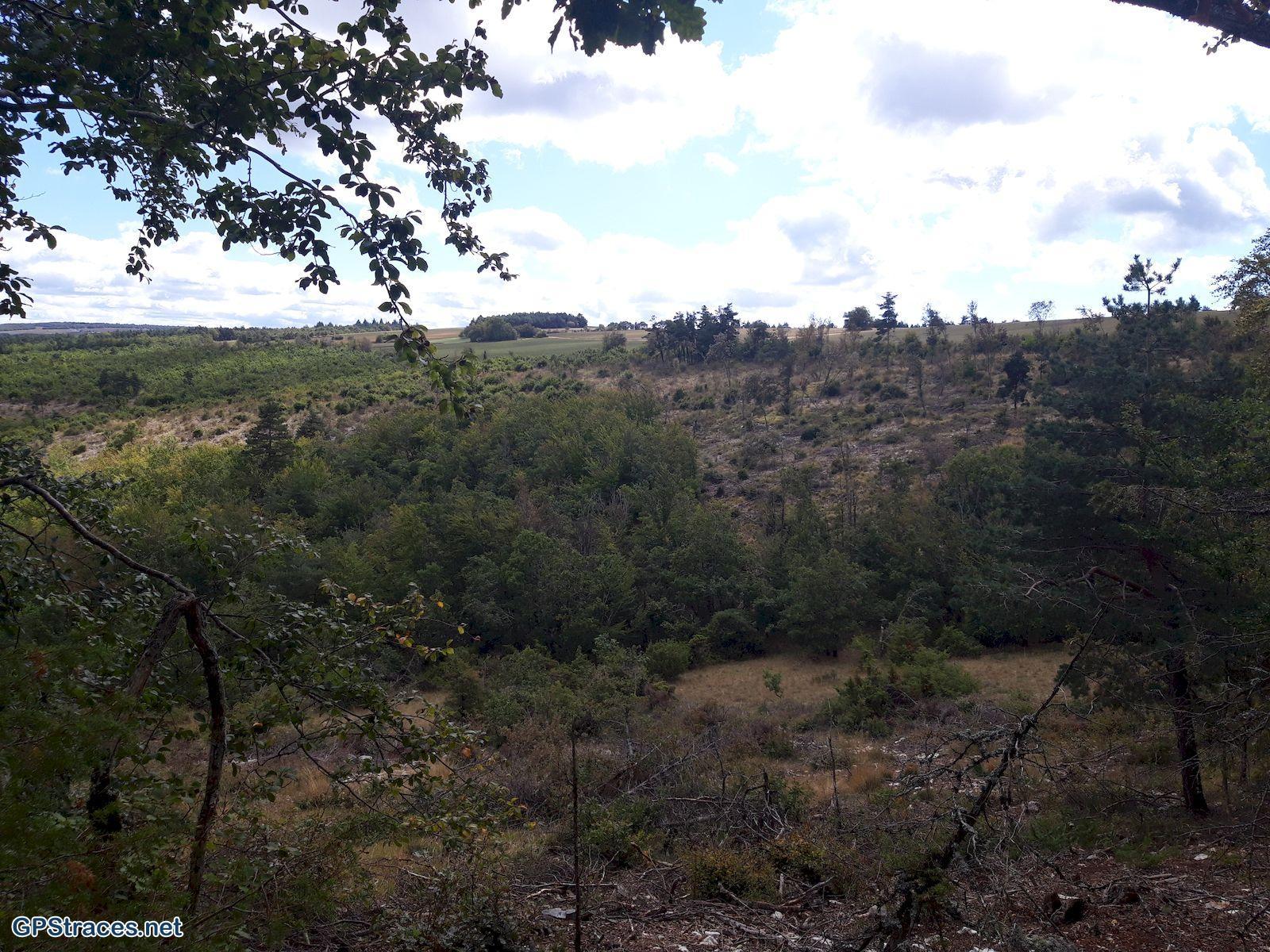 Vaucluse-Sault - Les Fayettes–2