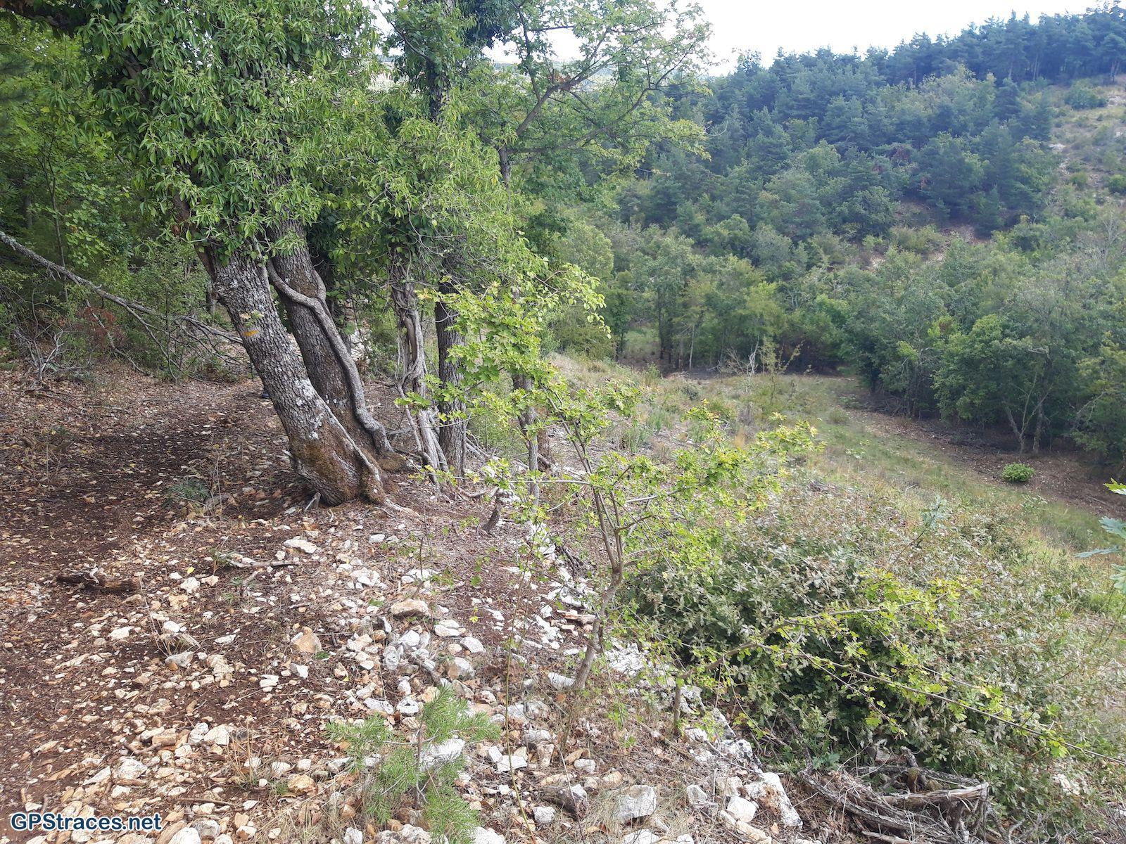 Vaucluse-Sault - Les Fayettes–1