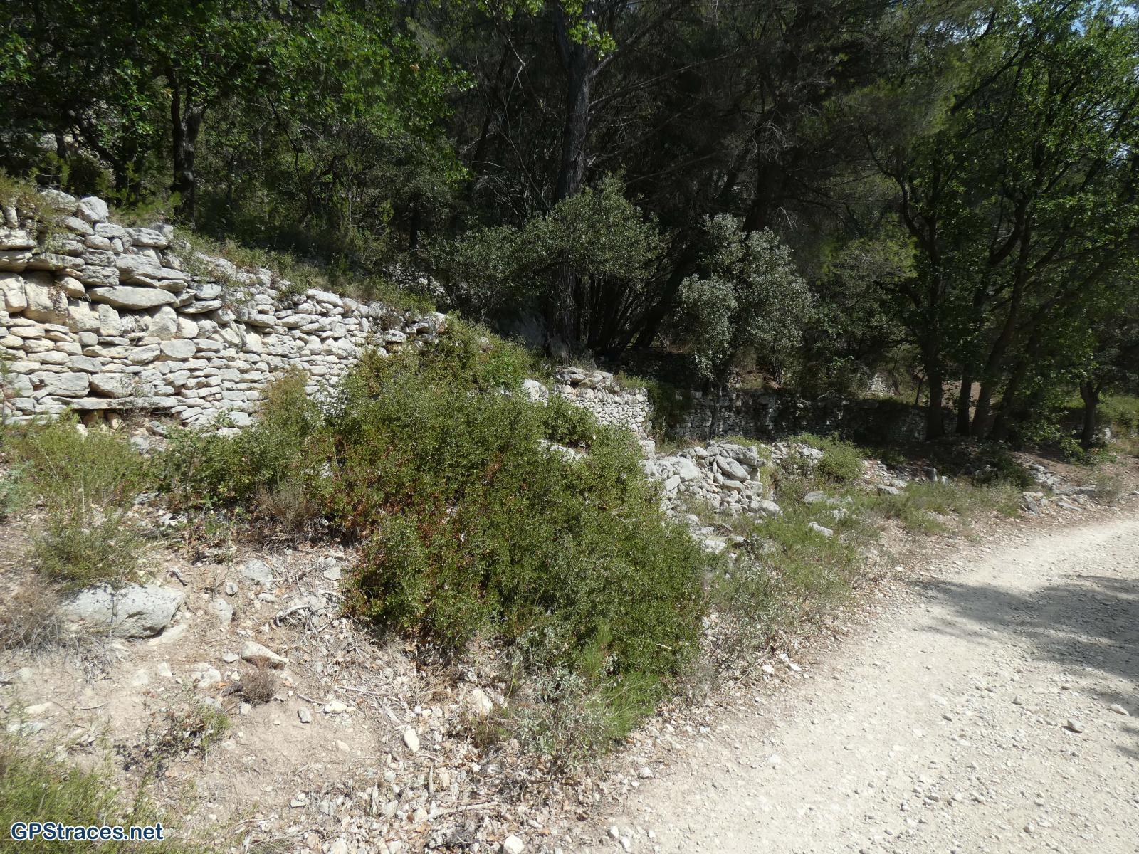Vaucluse-Saumane - Fontaine de Vaucluse par le Mourre Pelé–7