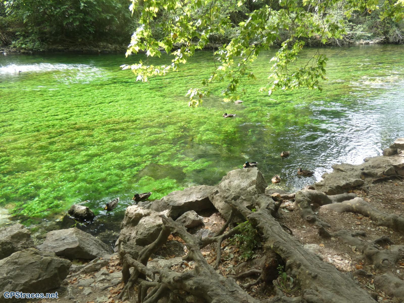 Vaucluse-Saumane - Fontaine de Vaucluse par le Mourre Pelé–10