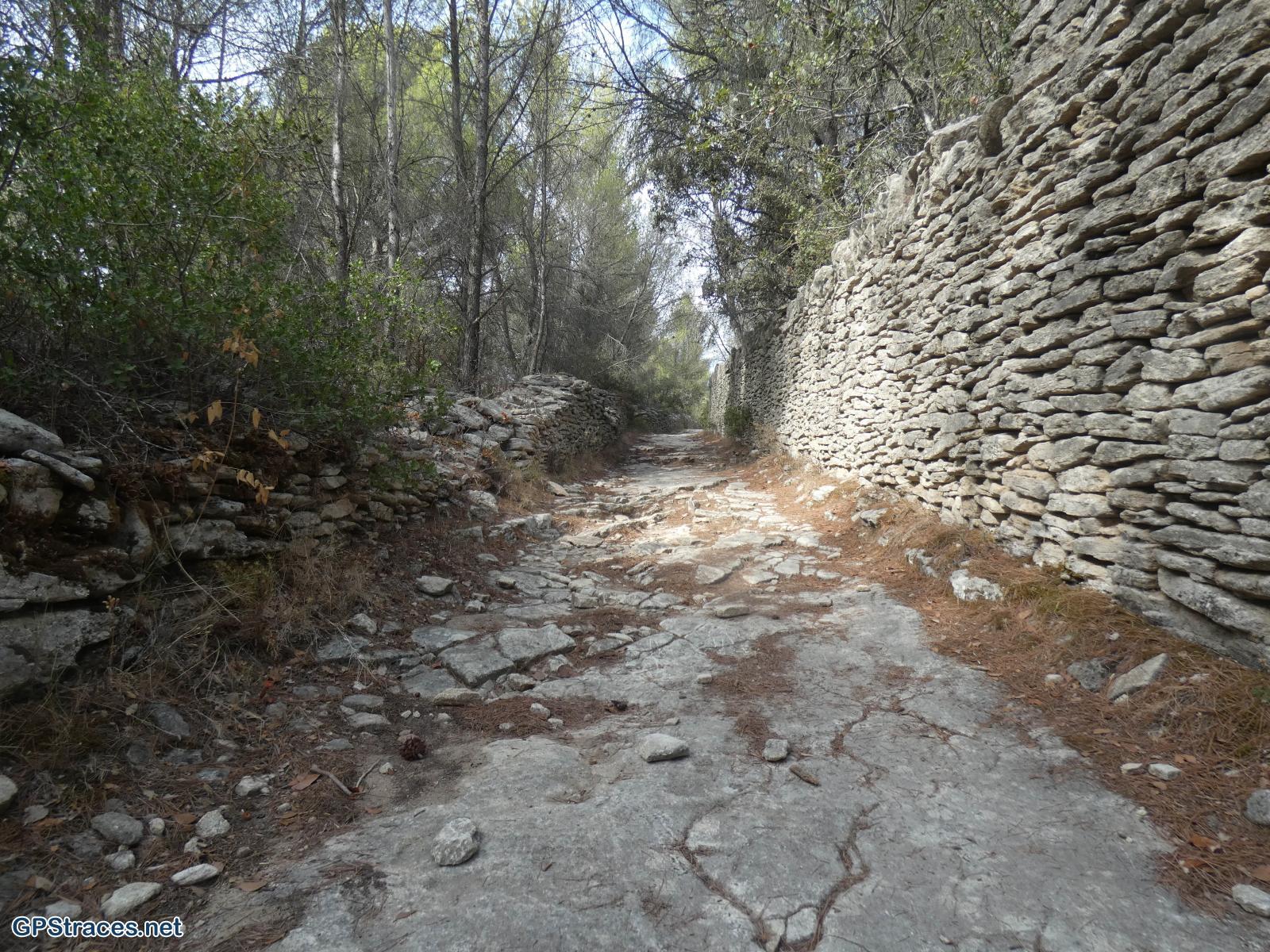 Vaucluse-Saumane - Fontaine de Vaucluse par le Mourre Pelé–12