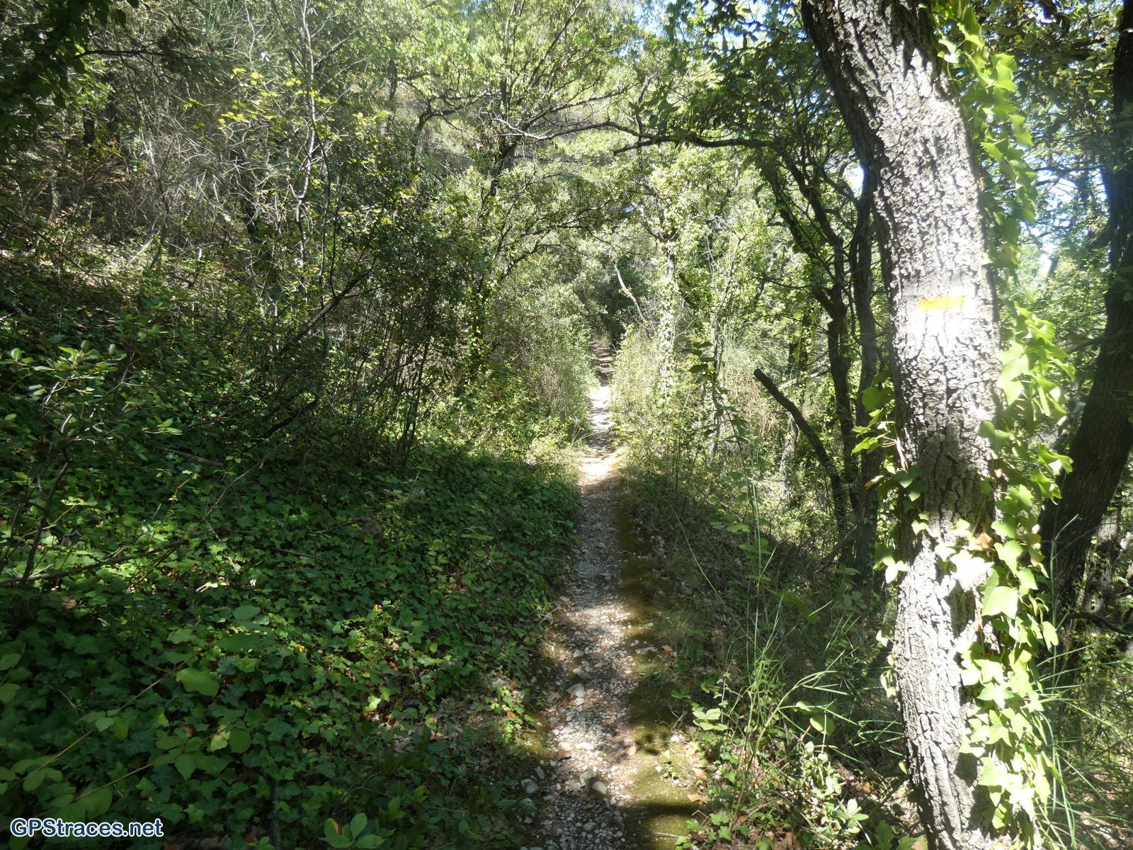 Vaucluse-Seguret - Tour Des Dentelles de Montmirail–0