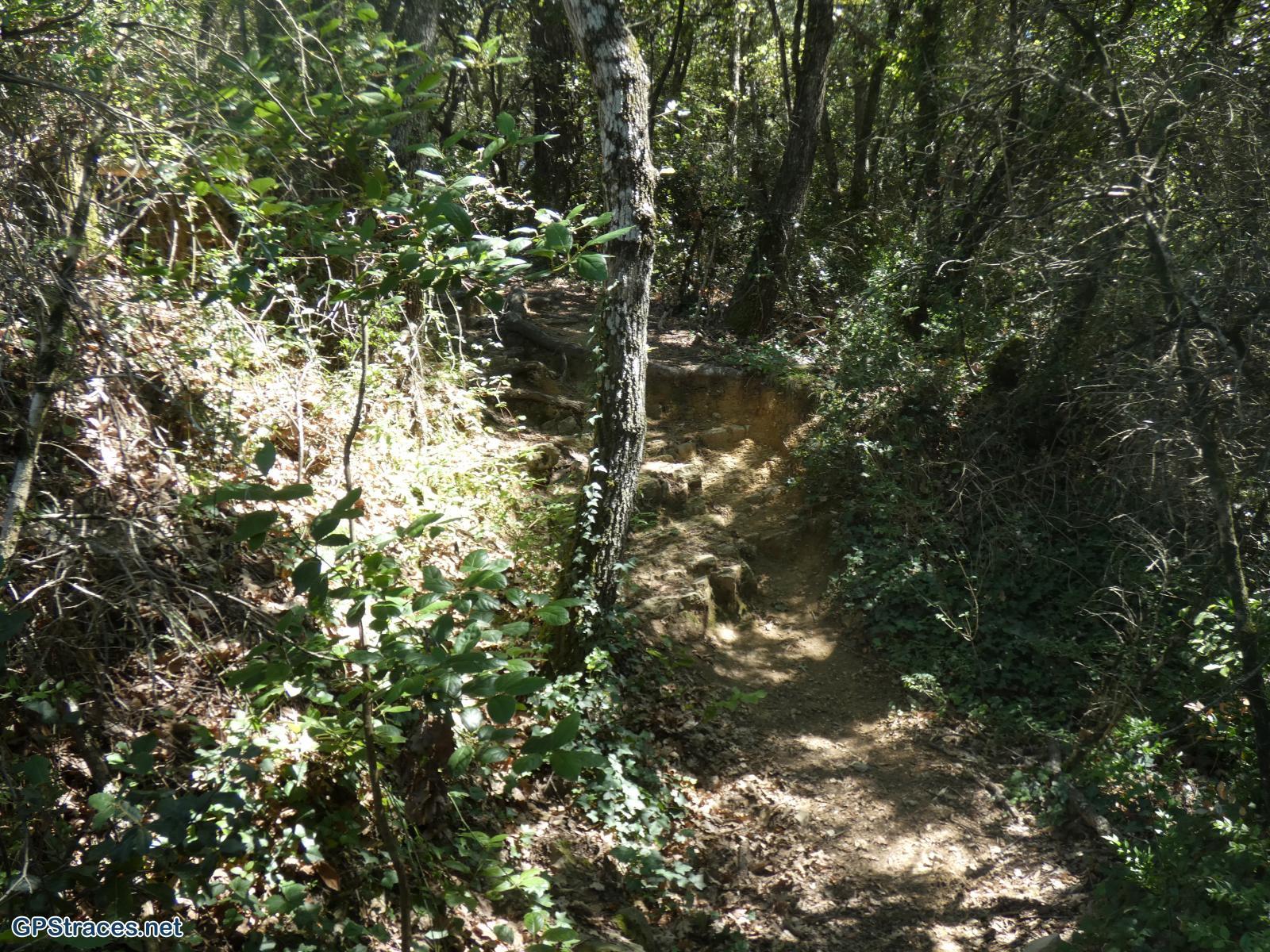 Vaucluse-Seguret - Tour Des Dentelles de Montmirail–2