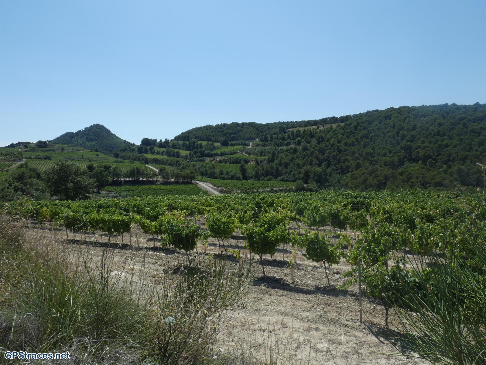 Vaucluse-Seguret - Tour Des Dentelles de Montmirail–3