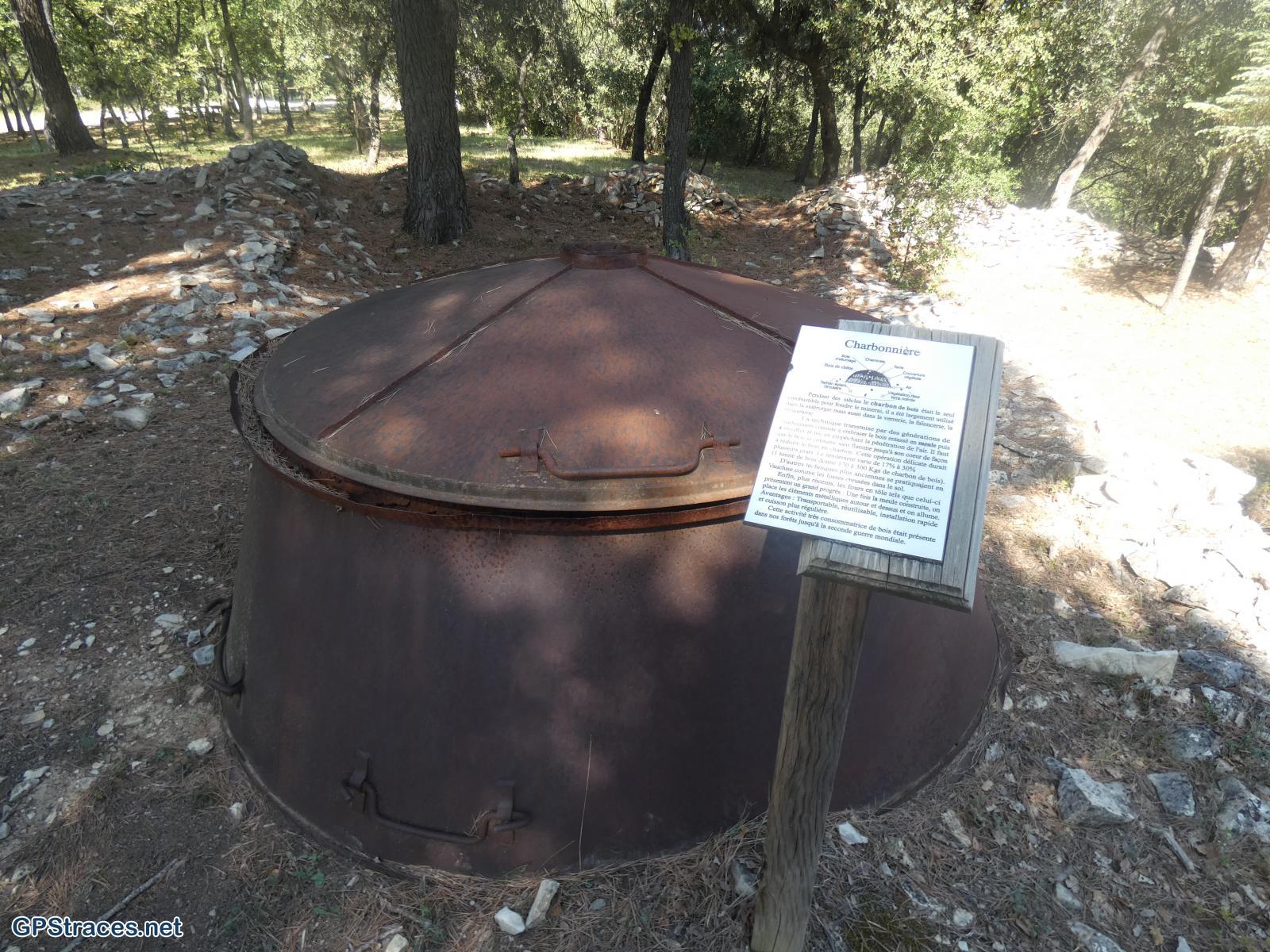 Une charbonnière