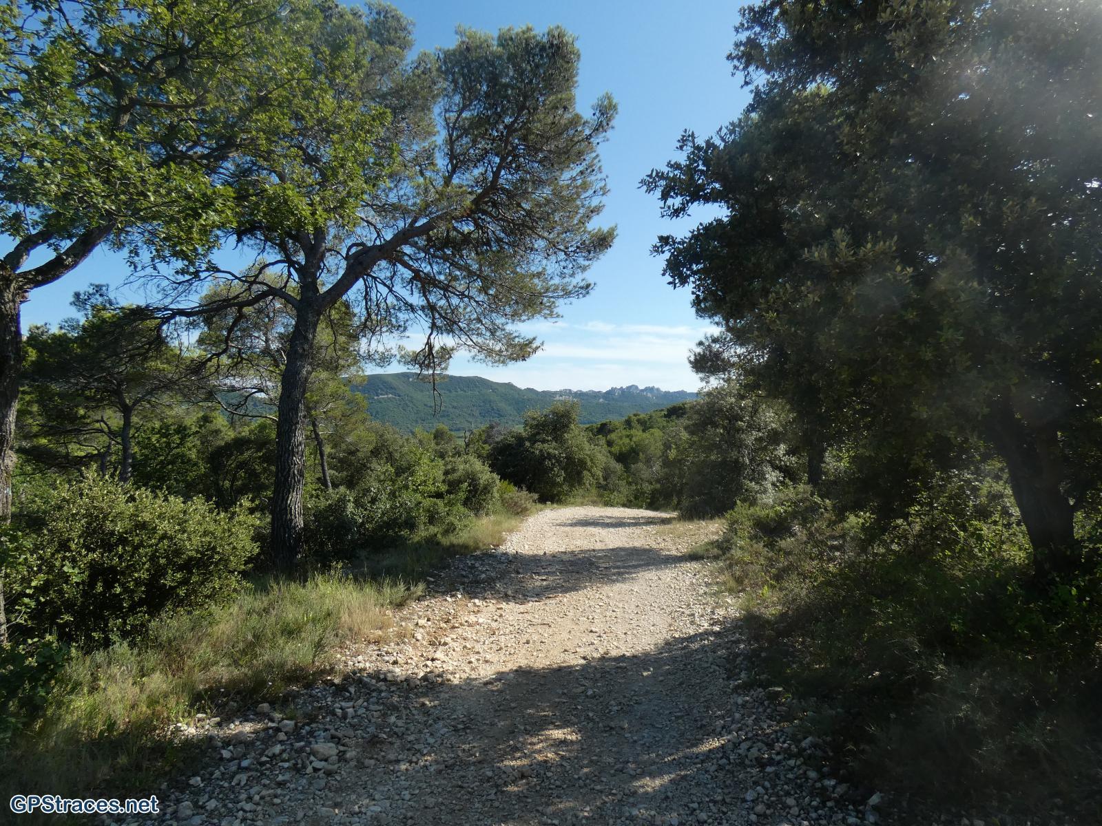 Vaucluse-Seguret - Tour Des Dentelles de Montmirail–9