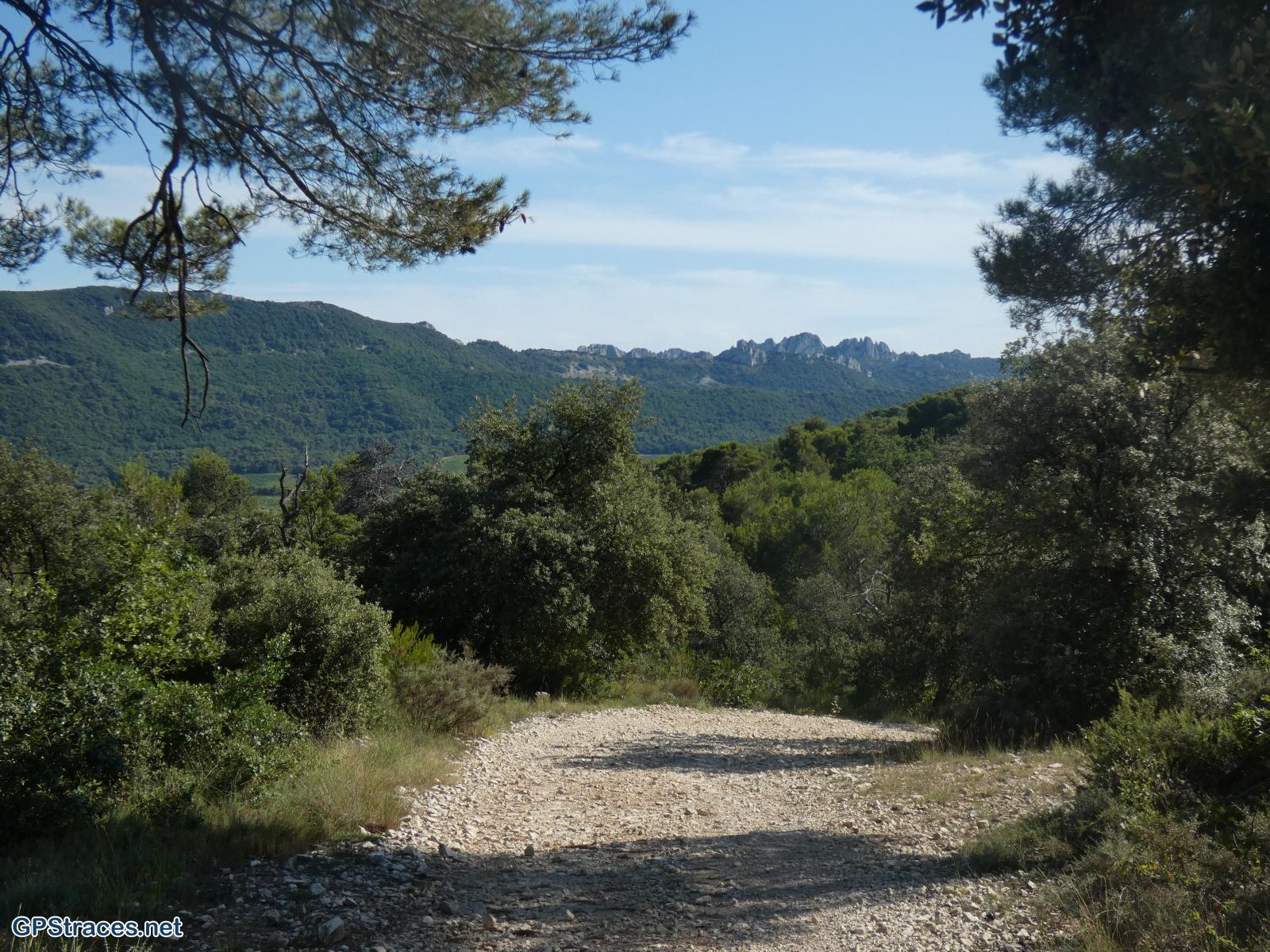 Les dentelles de Montmirail