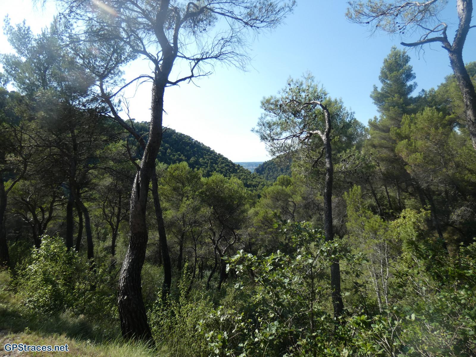 Vaucluse-Seguret - Tour Des Dentelles de Montmirail–11
