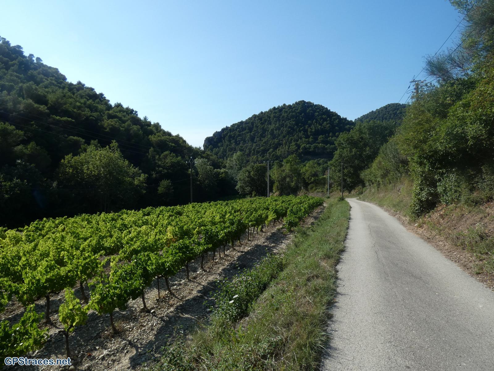 Vaucluse-Seguret - Tour Des Dentelles de Montmirail–12