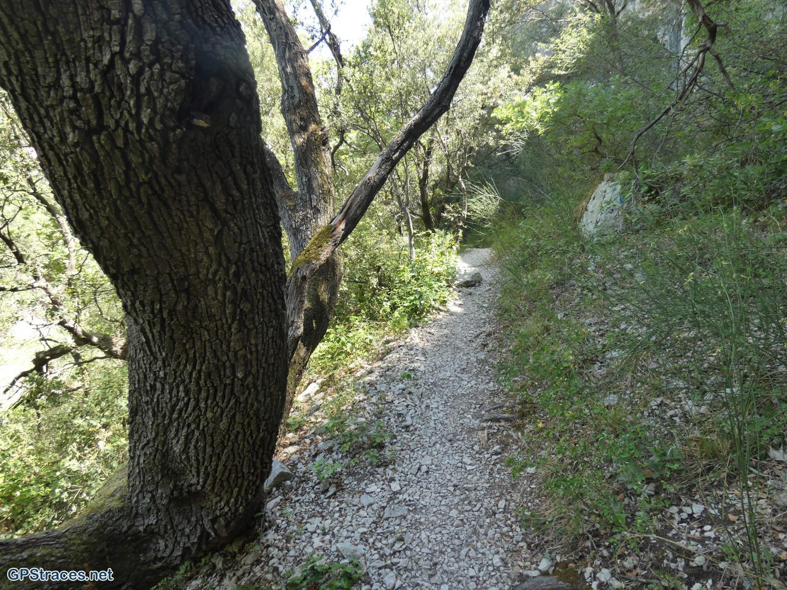 Vaucluse-La Sénancole–4
