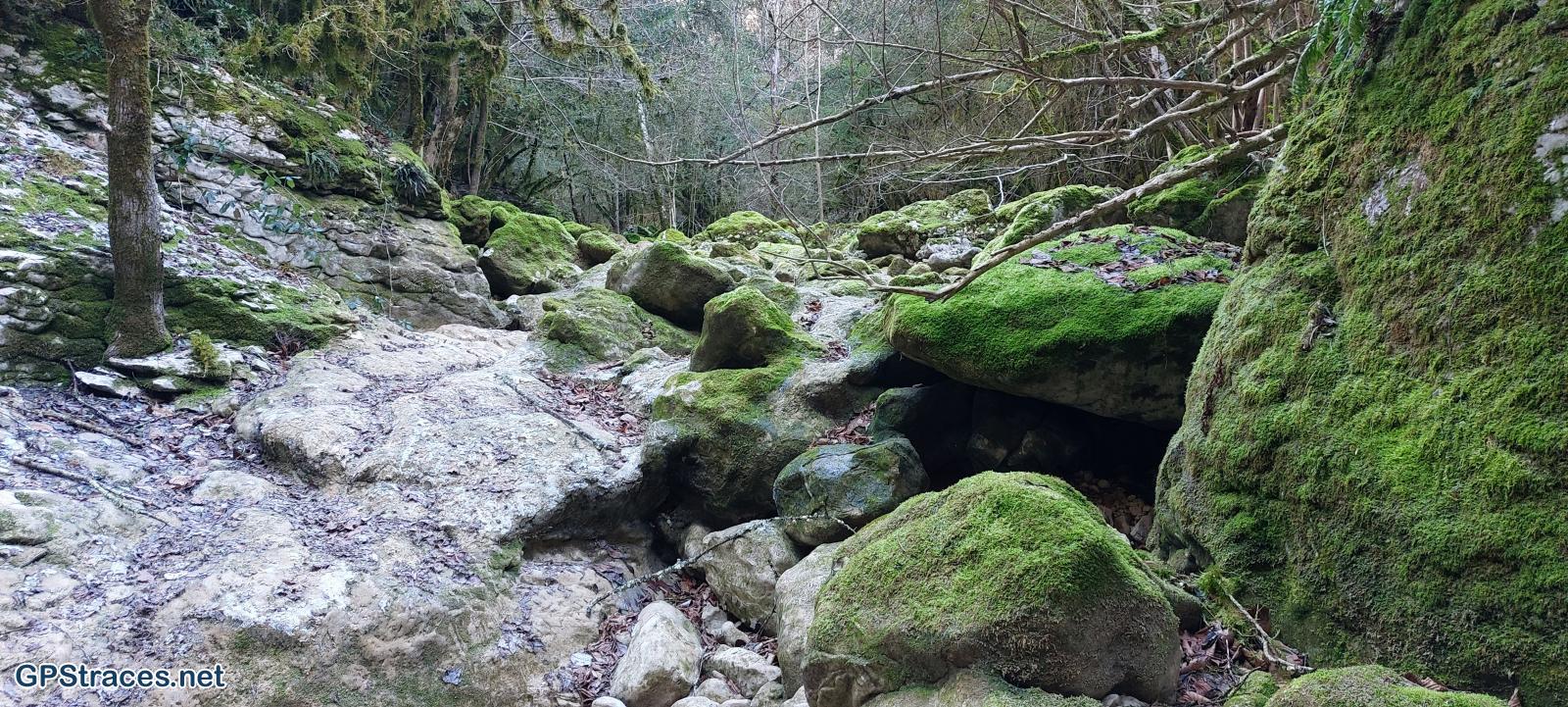 Vaucluse-Sentiers sportifs très perdus de la Nesque–3