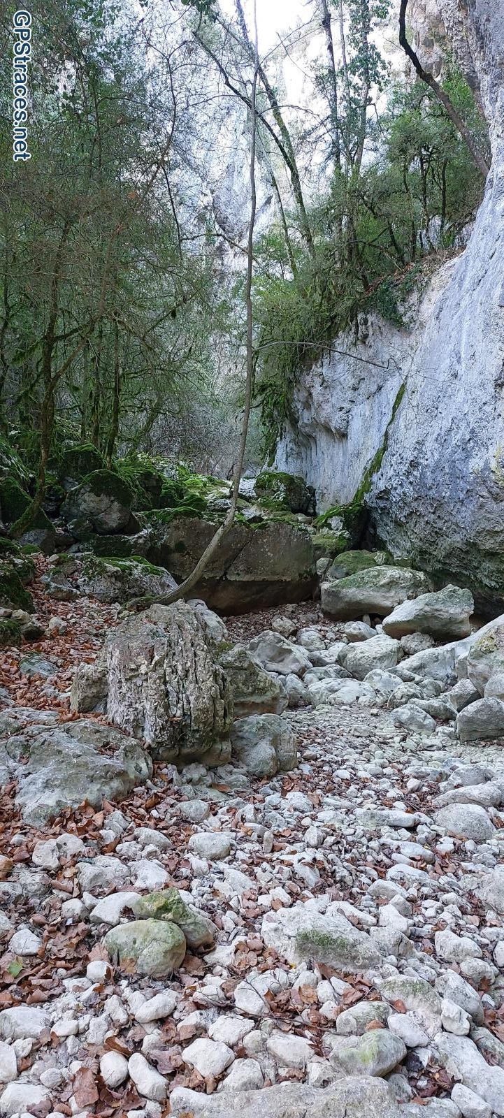 Vaucluse-Sentiers sportifs très perdus de la Nesque–6